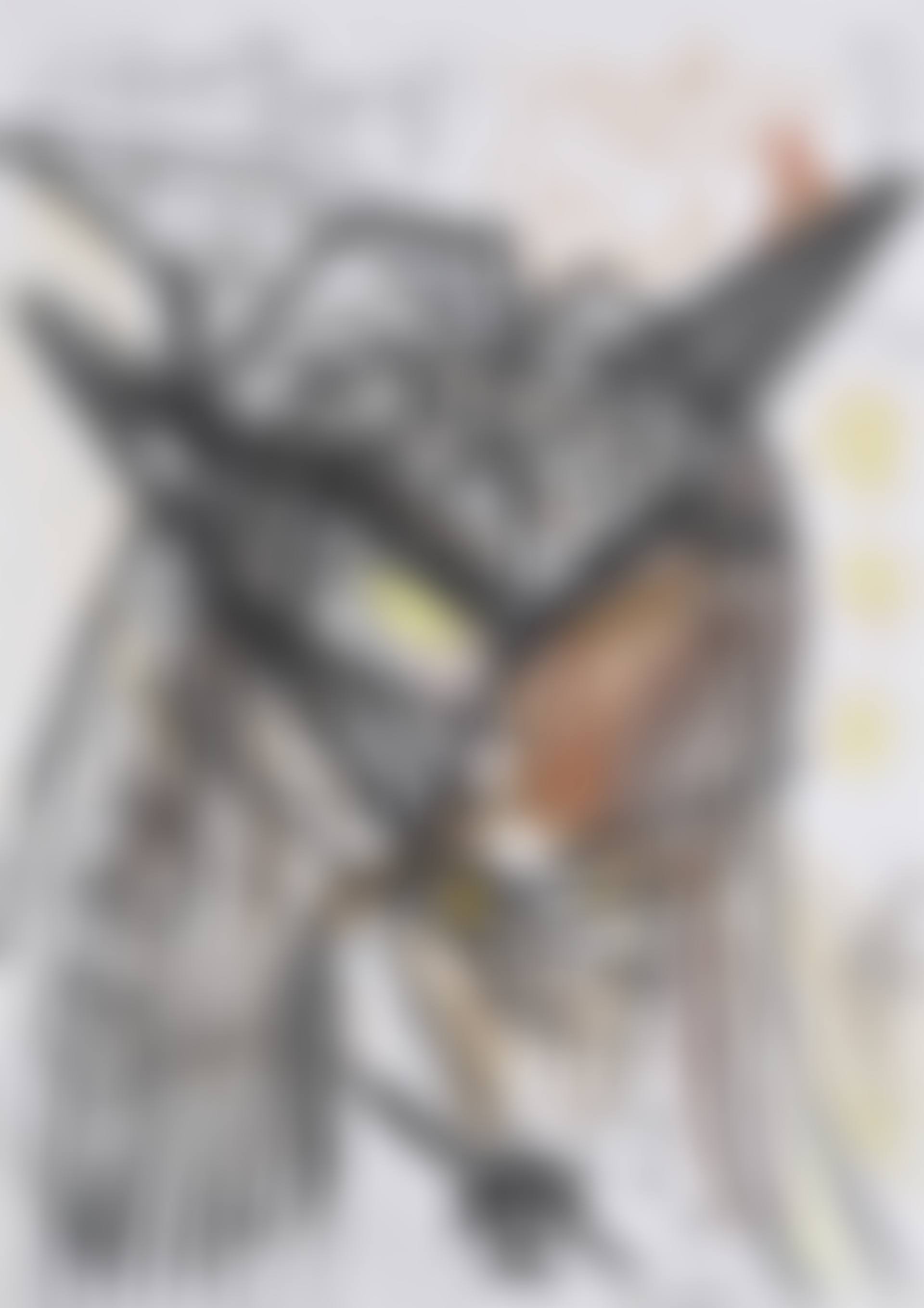 "1. Kolonne". (preview)