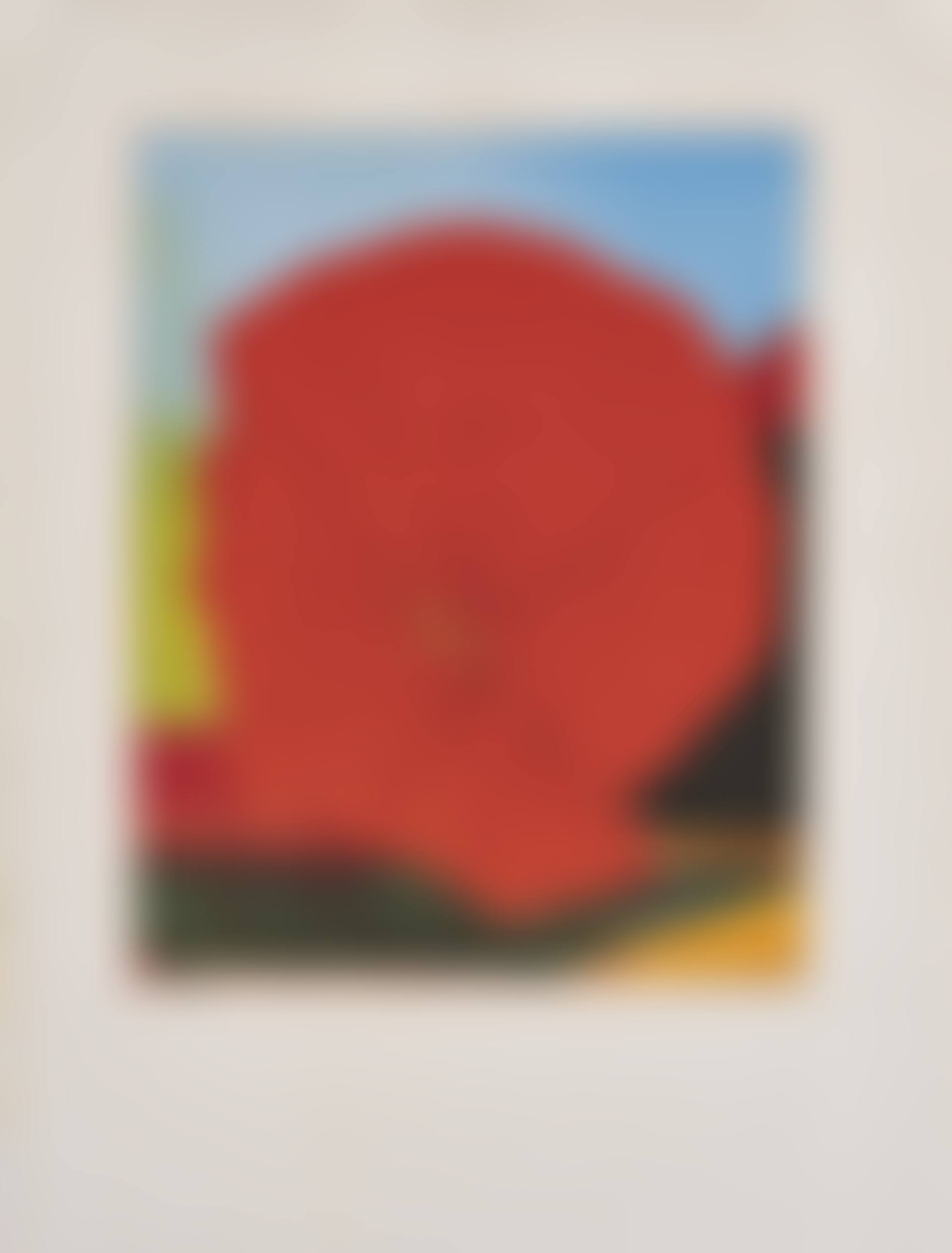 Rote Blume I. (preview)