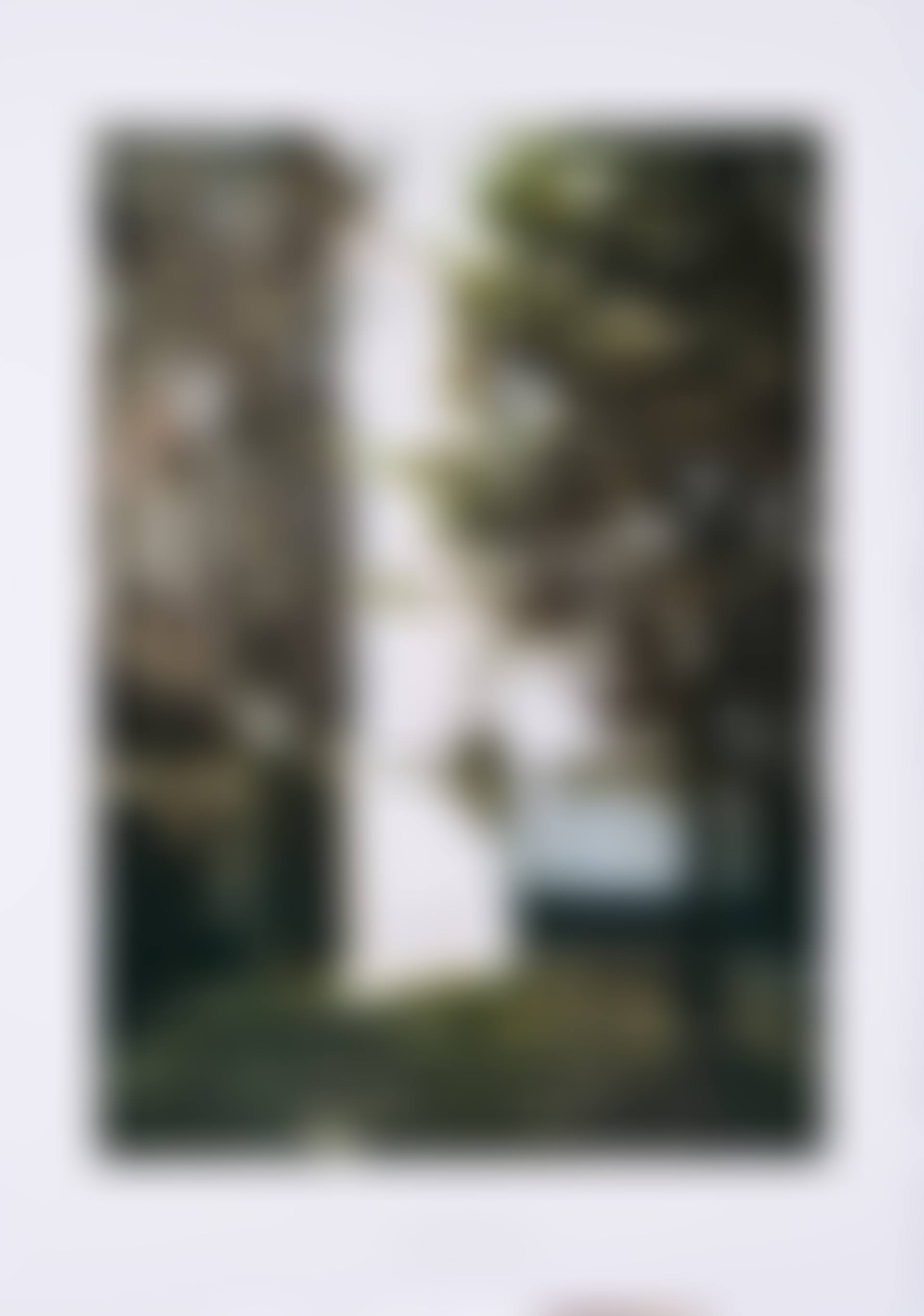 Domecke II. (preview)