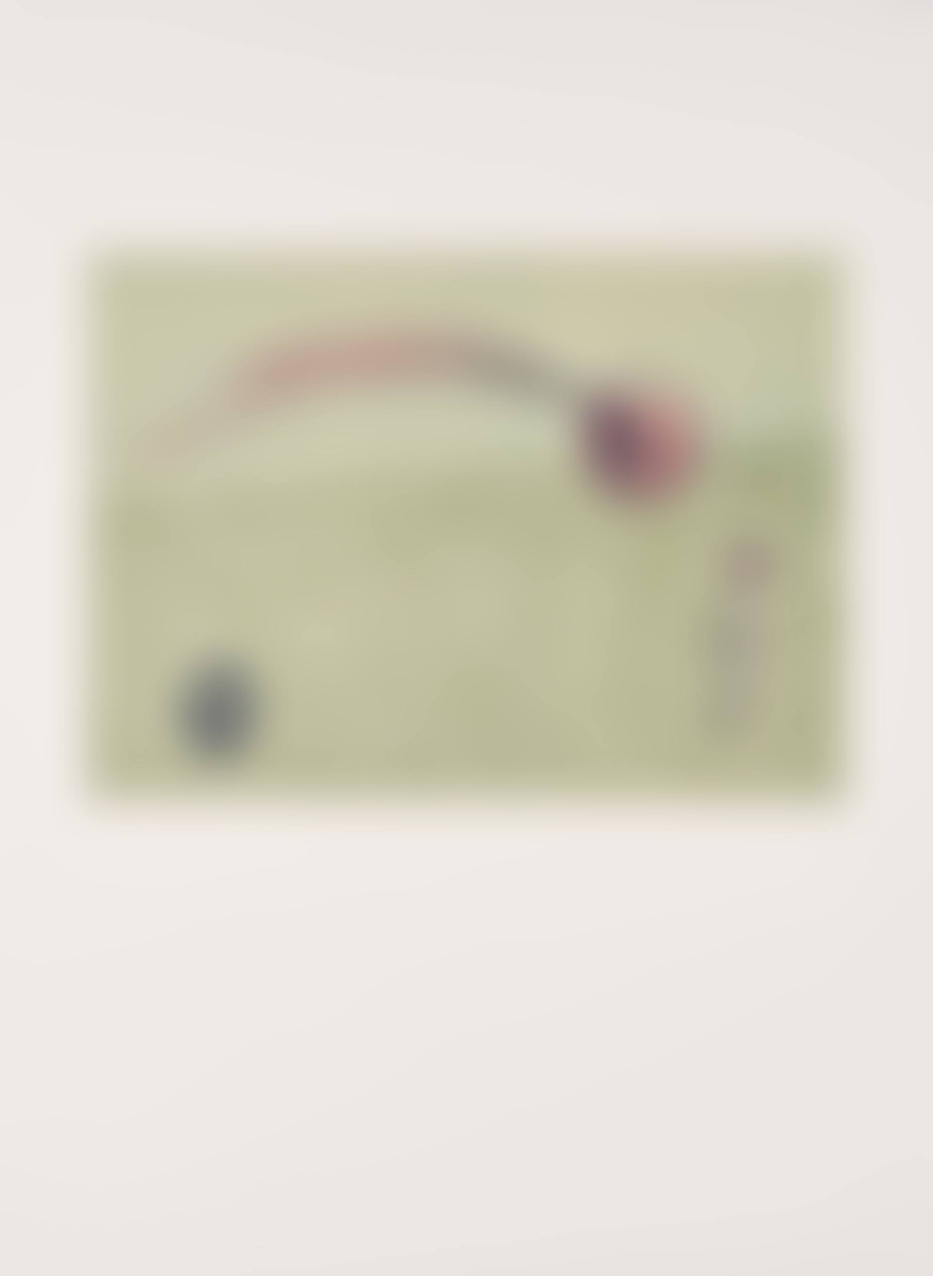 From: Werner Spies, Max Ernst - Collagen. Inventar und Widerspruch.. (preview)