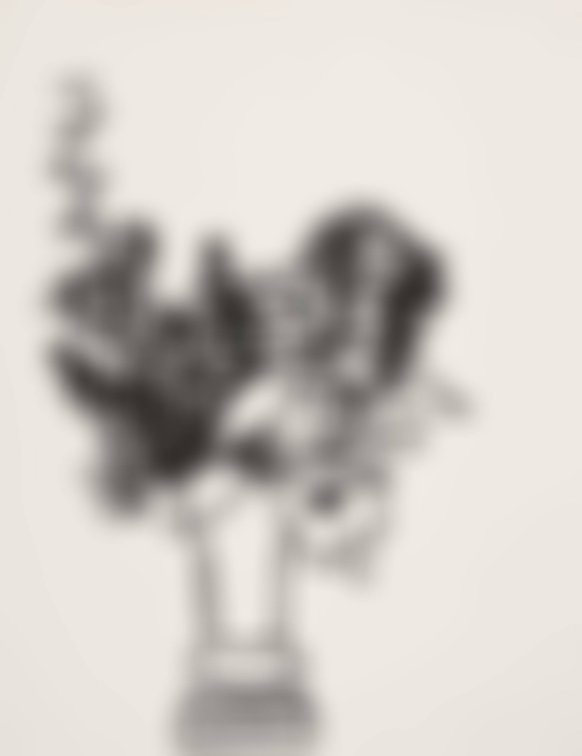 Drawing for Country Bouquet. (preview)