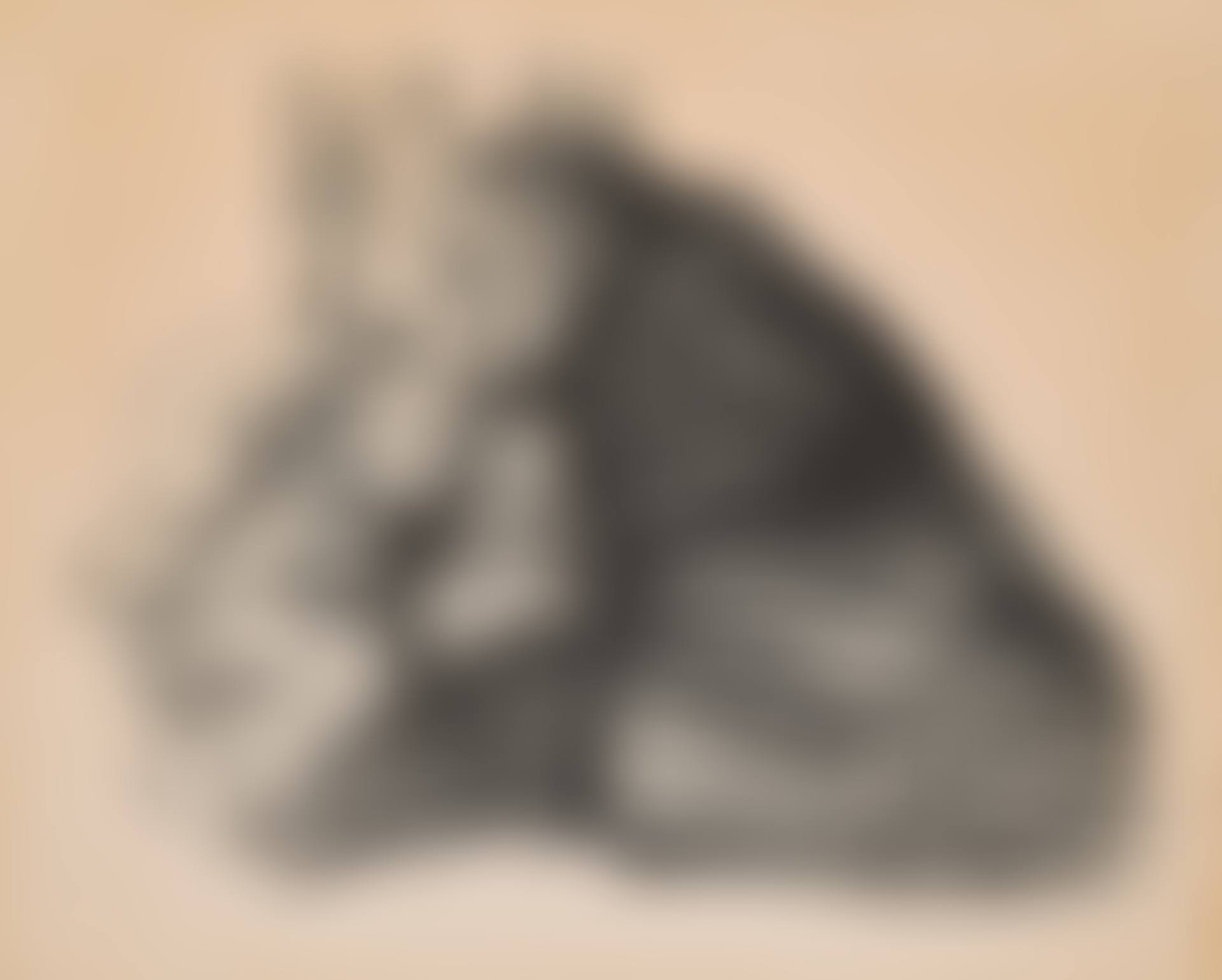 Städtisches Obdach. (preview)