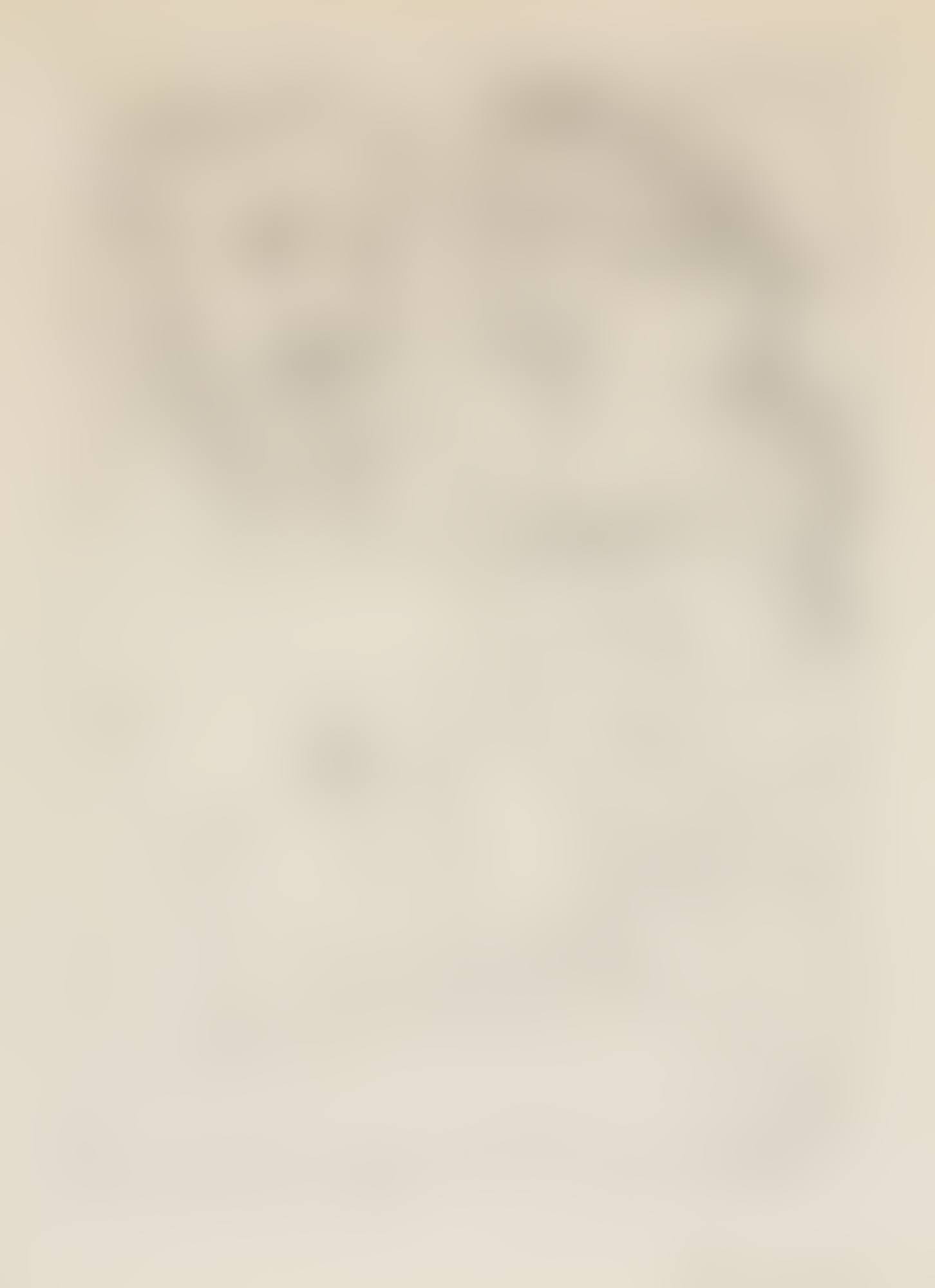 Vieux sculpteur au travail II, from the Vollard suite (Bloch 158; Baer 311) (preview)