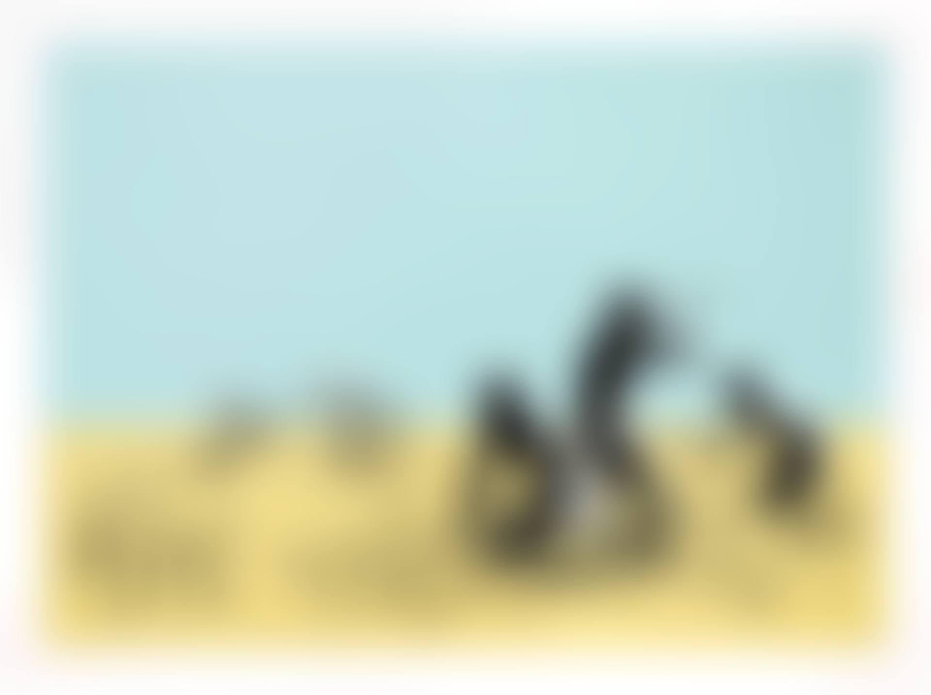 Trolleys (Color) (preview)