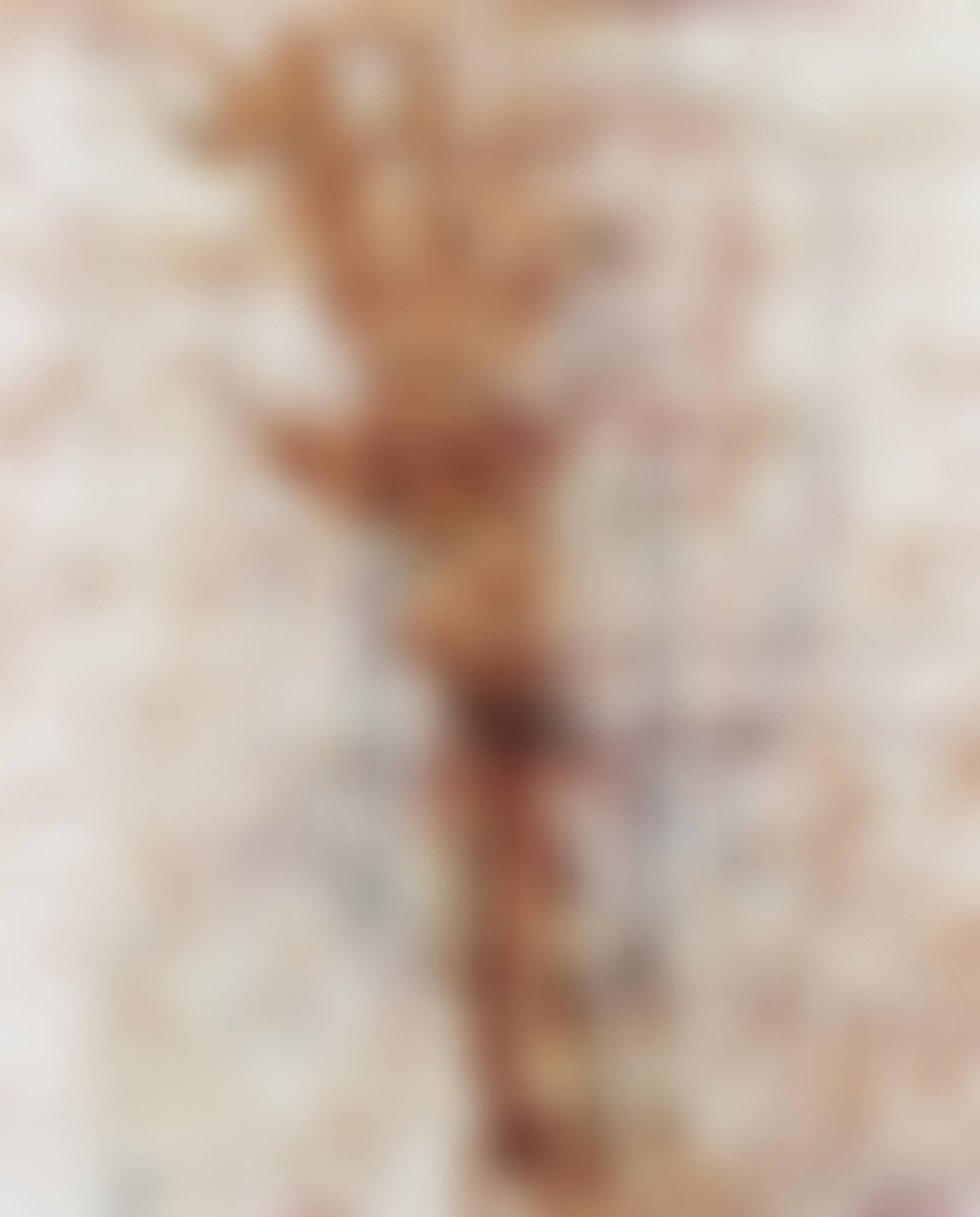Untitled (Edipo re es). (preview)