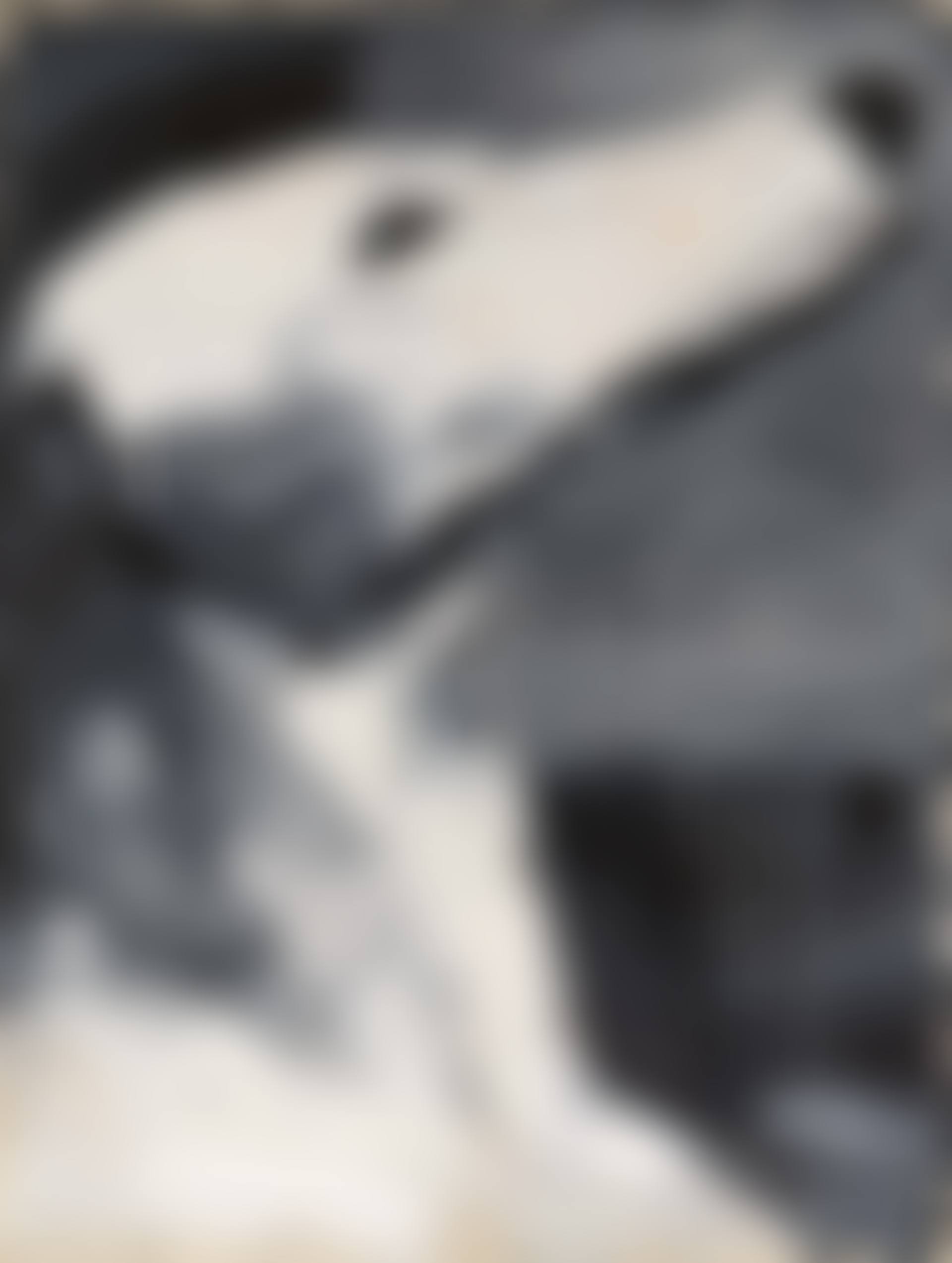 "Hund I". (preview)