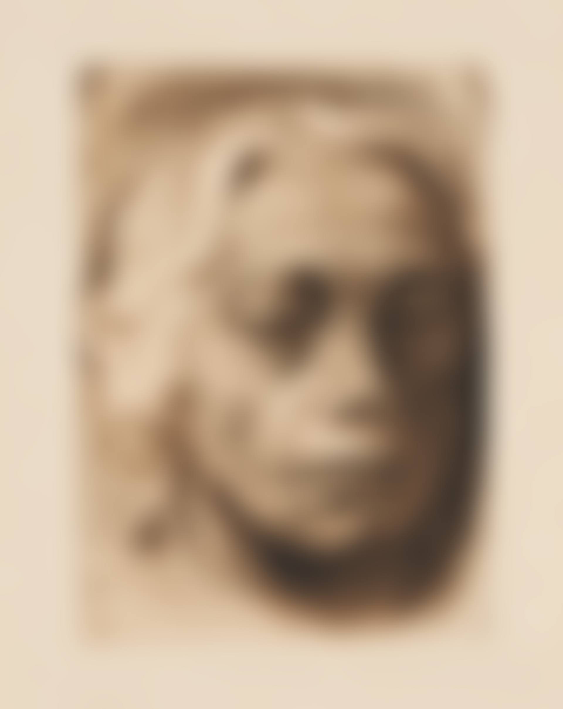 Selbstbildnis. (preview)