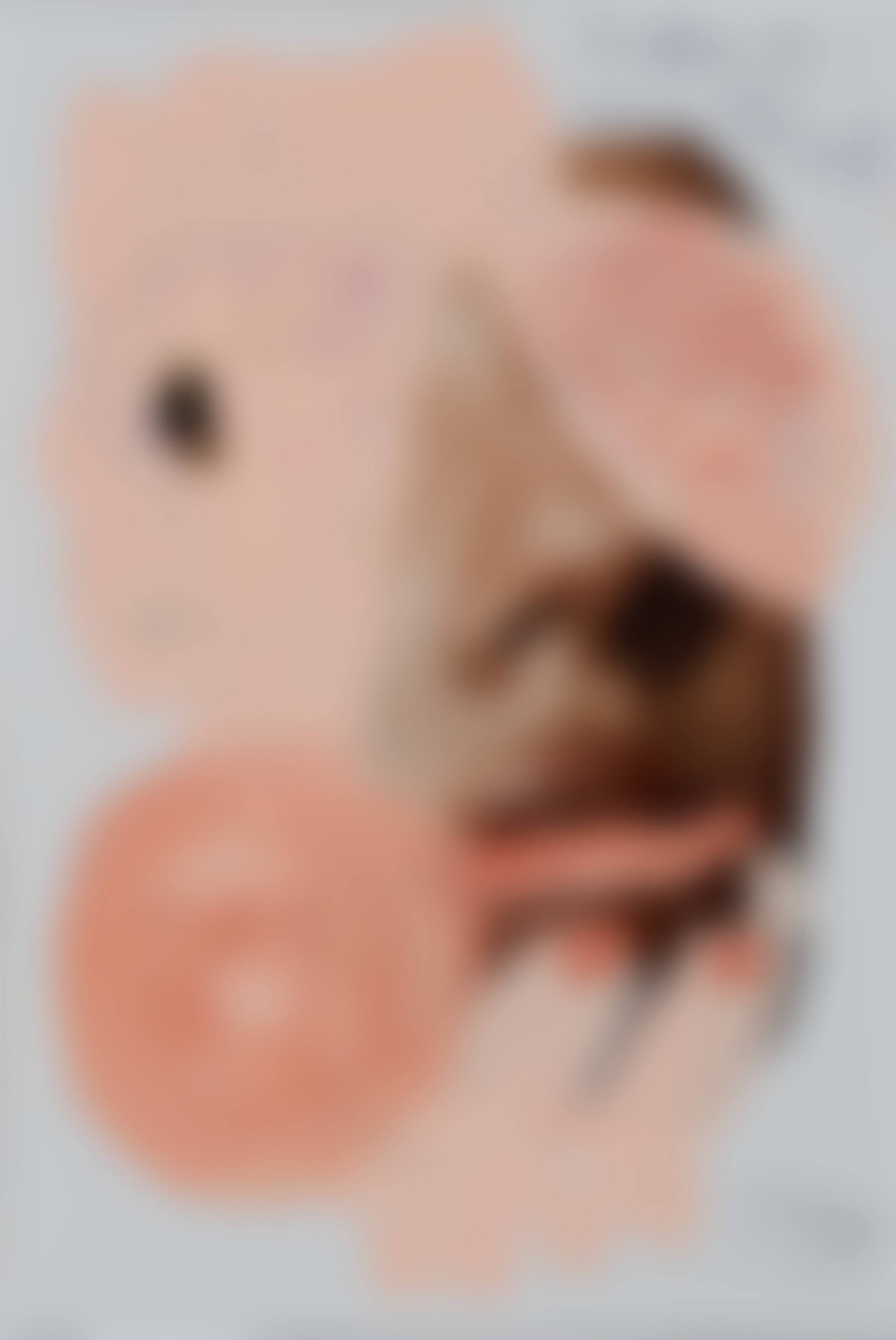 "Kindfrau de Sau (Diktatyr der Kunst) ". (preview)