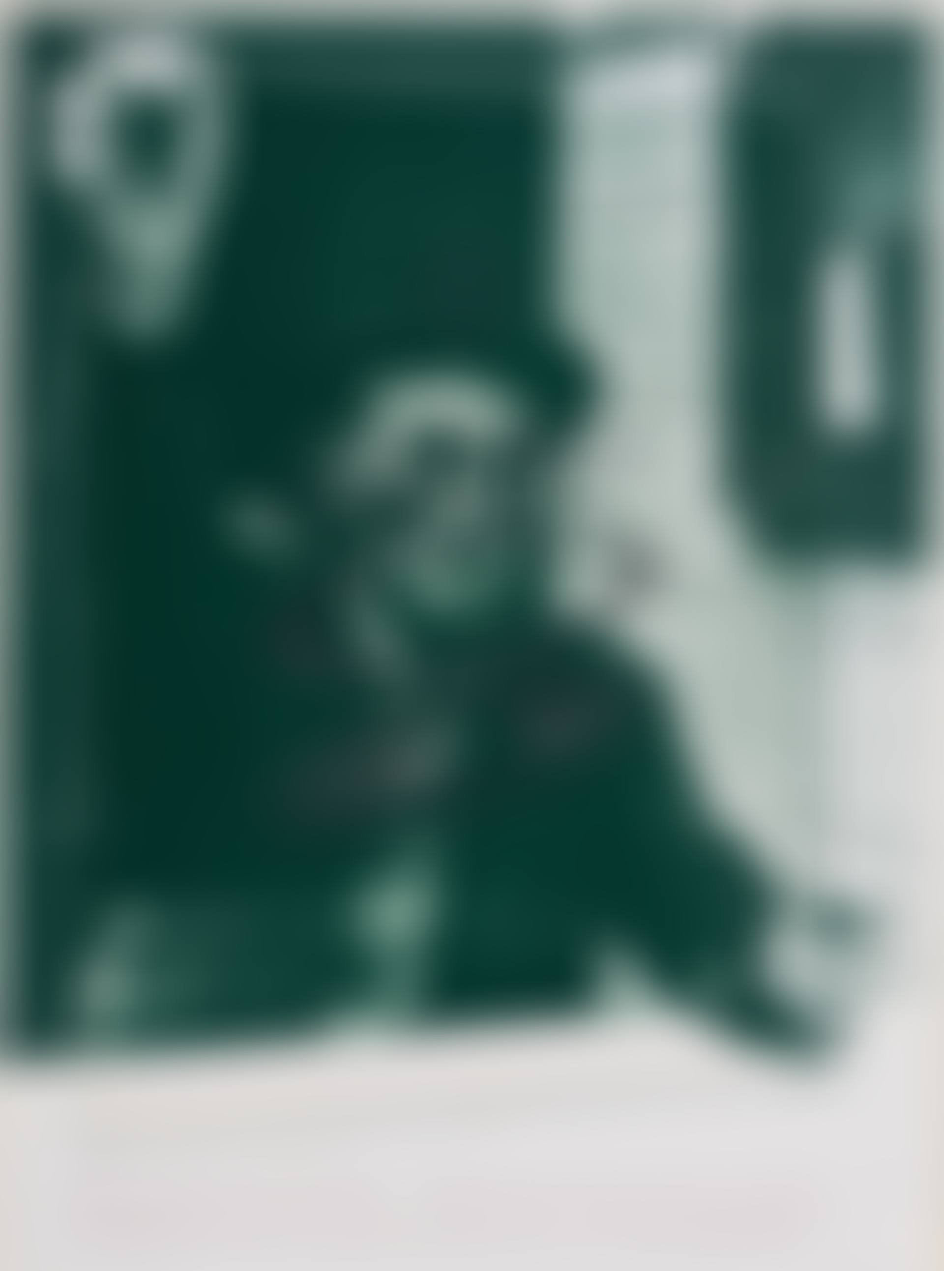 The Oculist Witnesses (Marcel Duchamp) (preview)