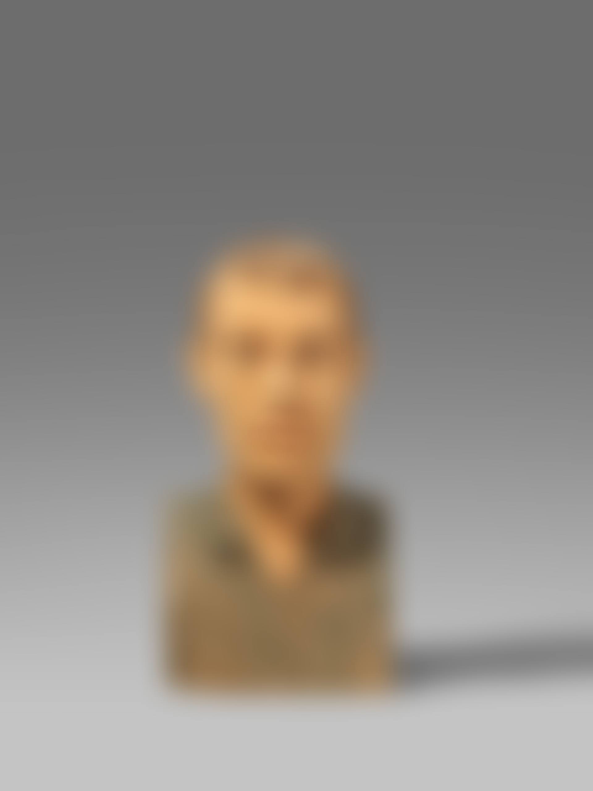 Männliche Büste. (preview)