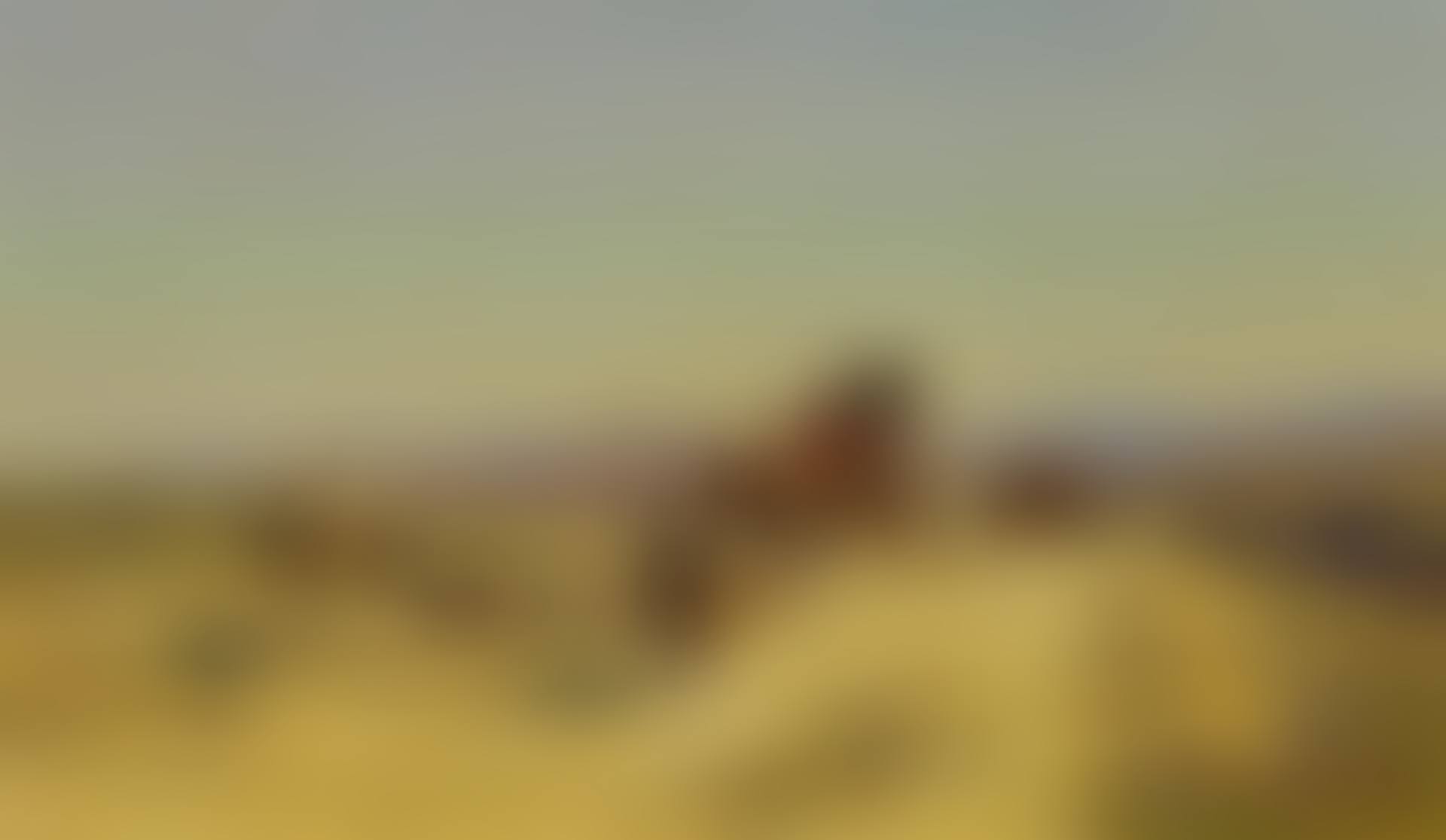 The Caravan (preview)