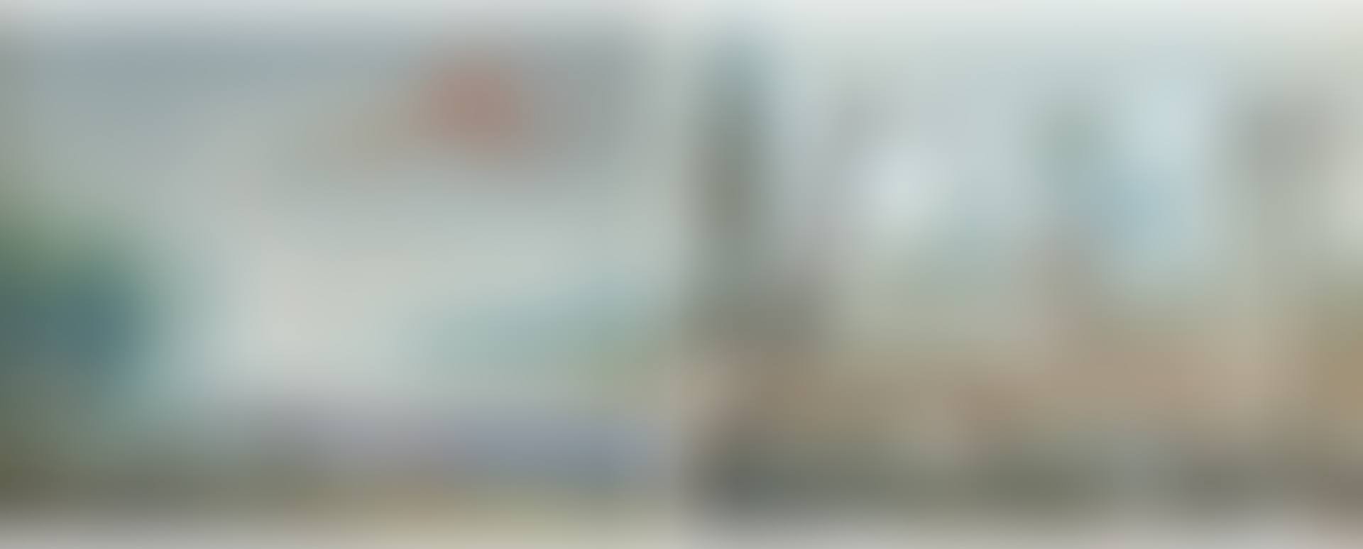 Pair of views (preview)