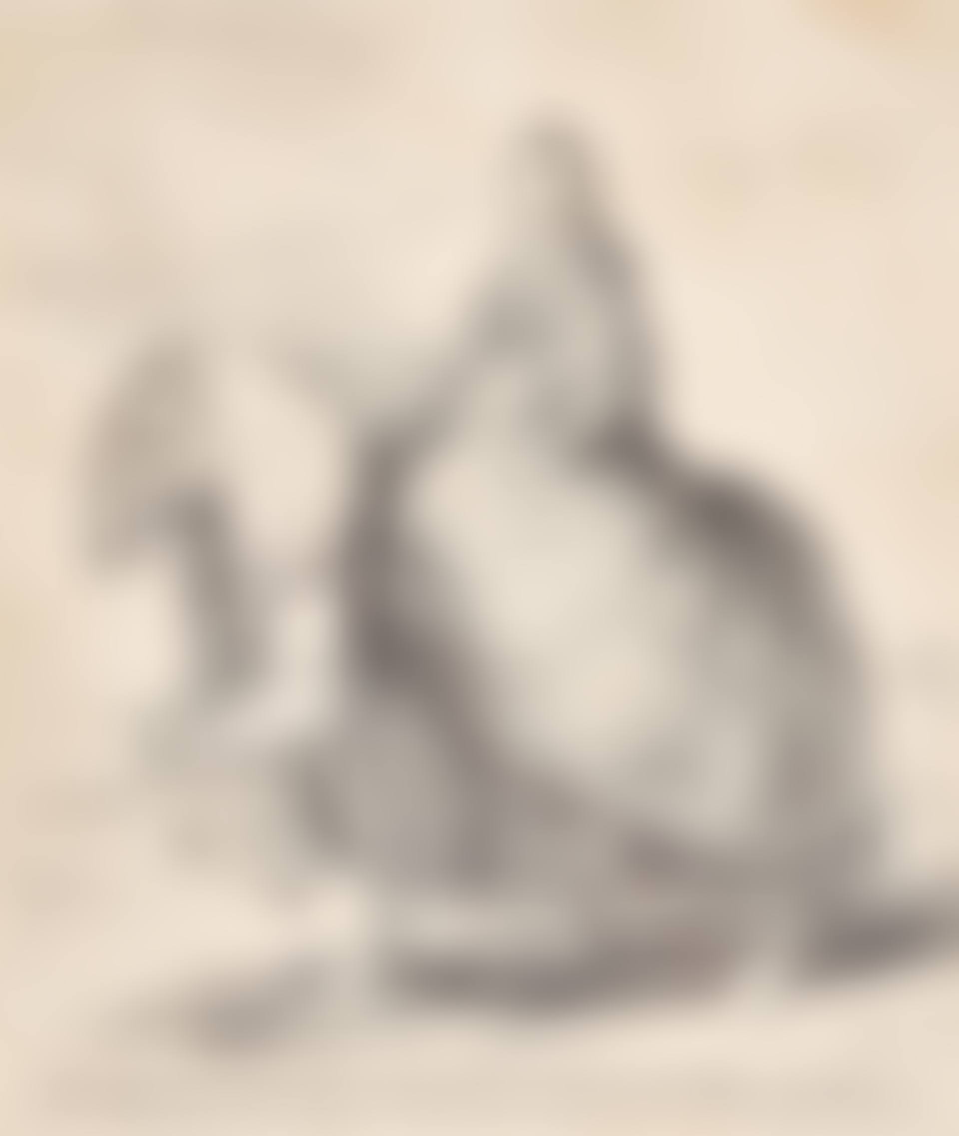 "D. Isabel de Borbon..." (preview)