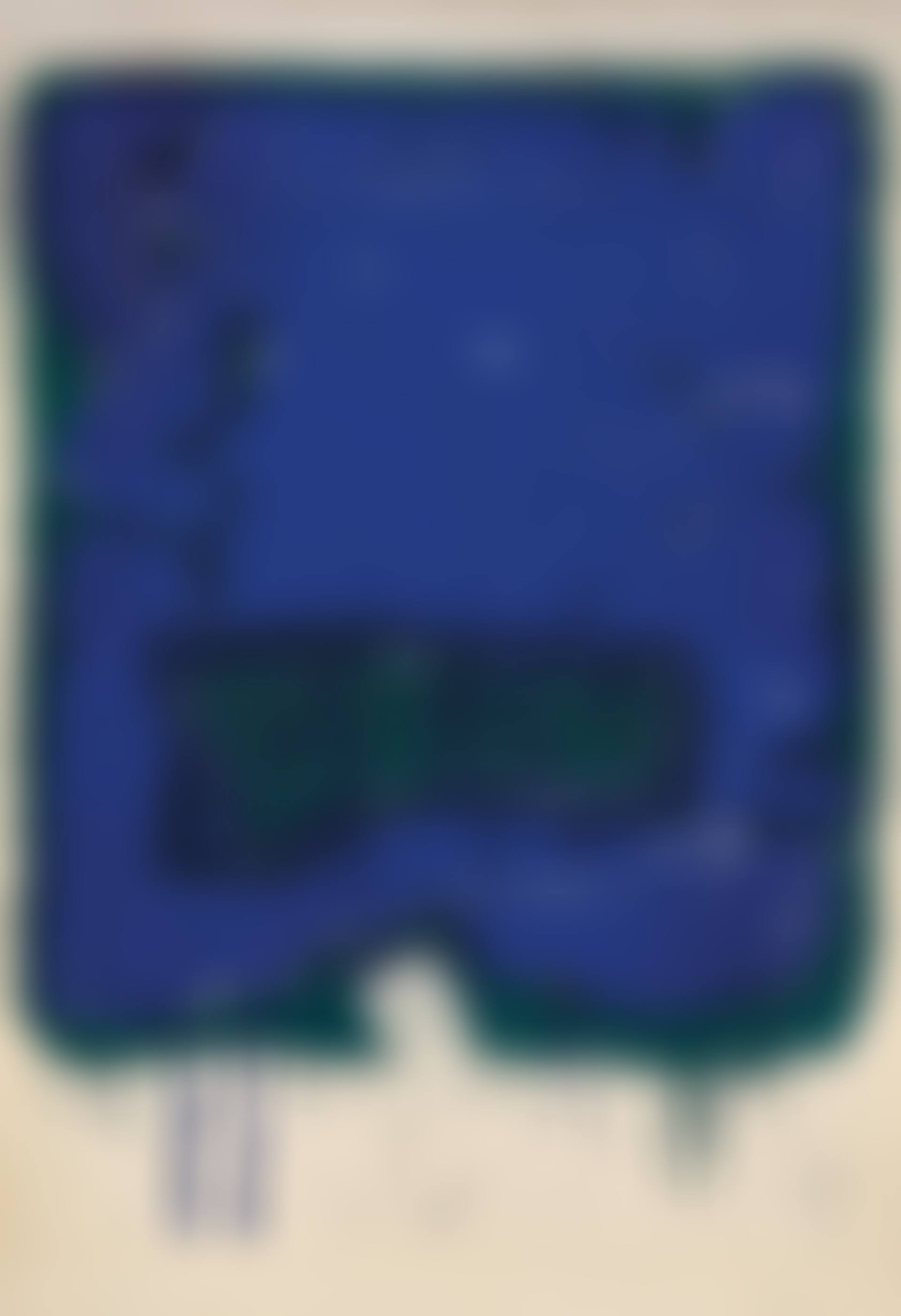 "Affiche Kunsthalle Bern" (preview)