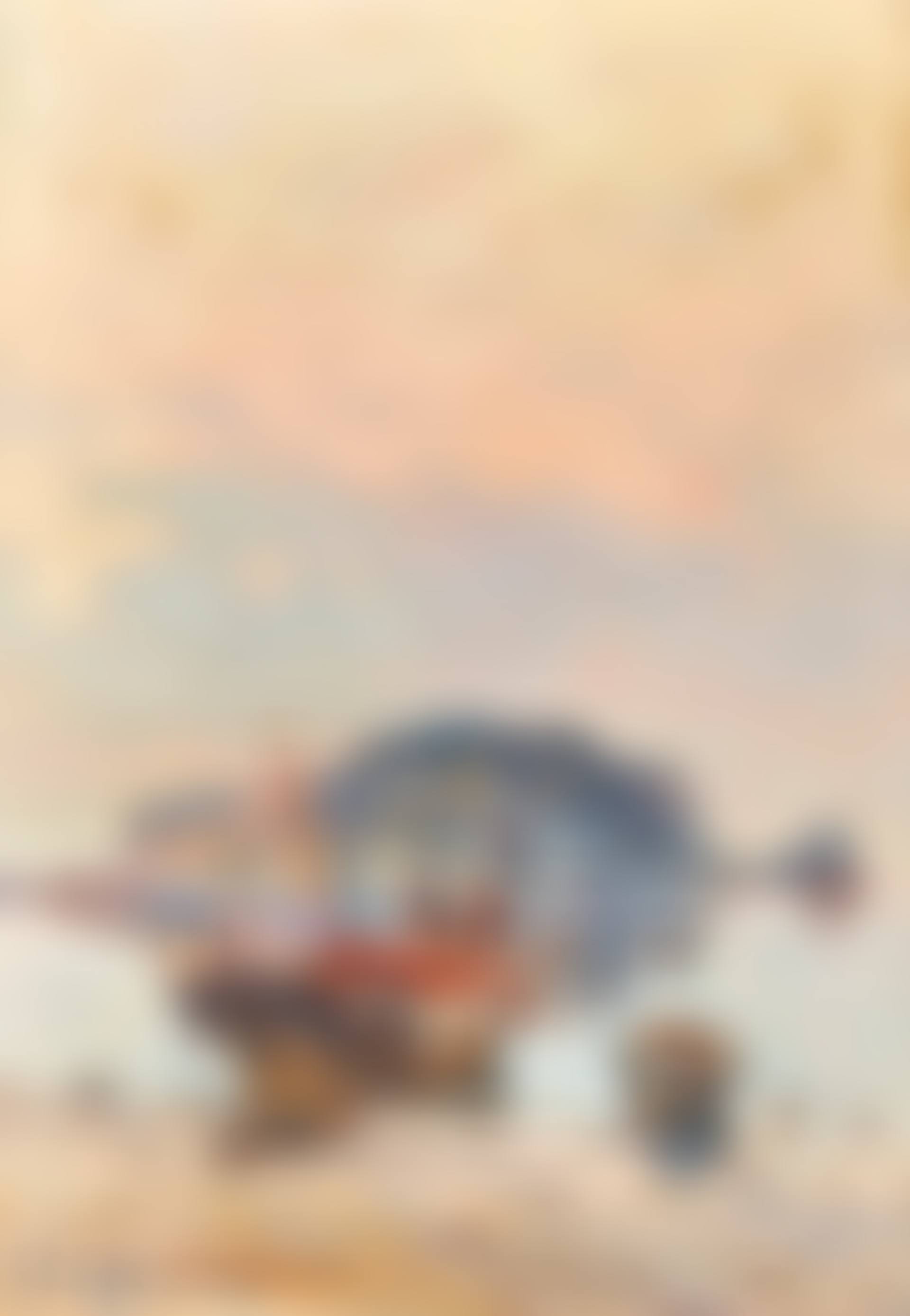 Italian coastal areas. counterparts (preview)
