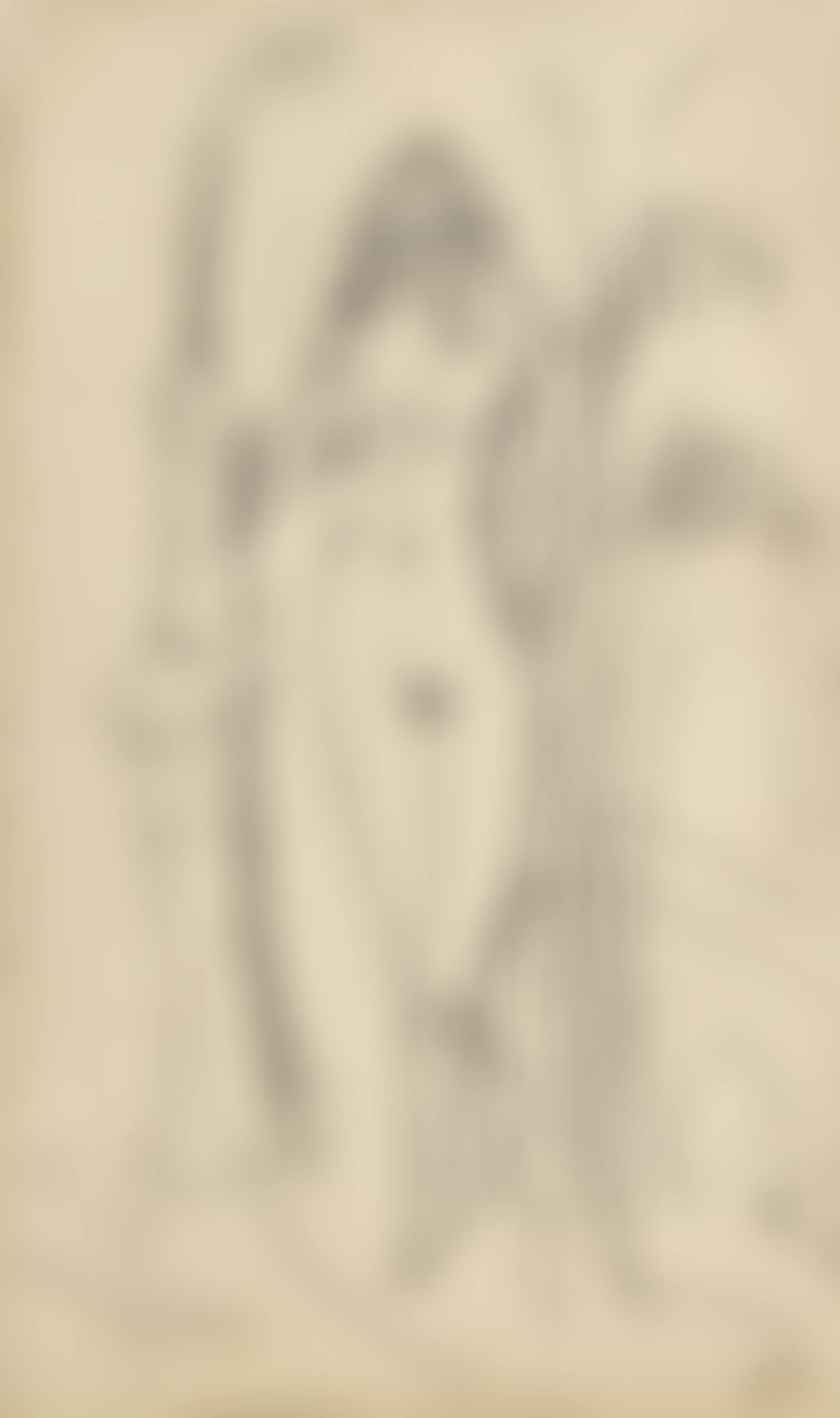 Standing female nude in interior (preview)