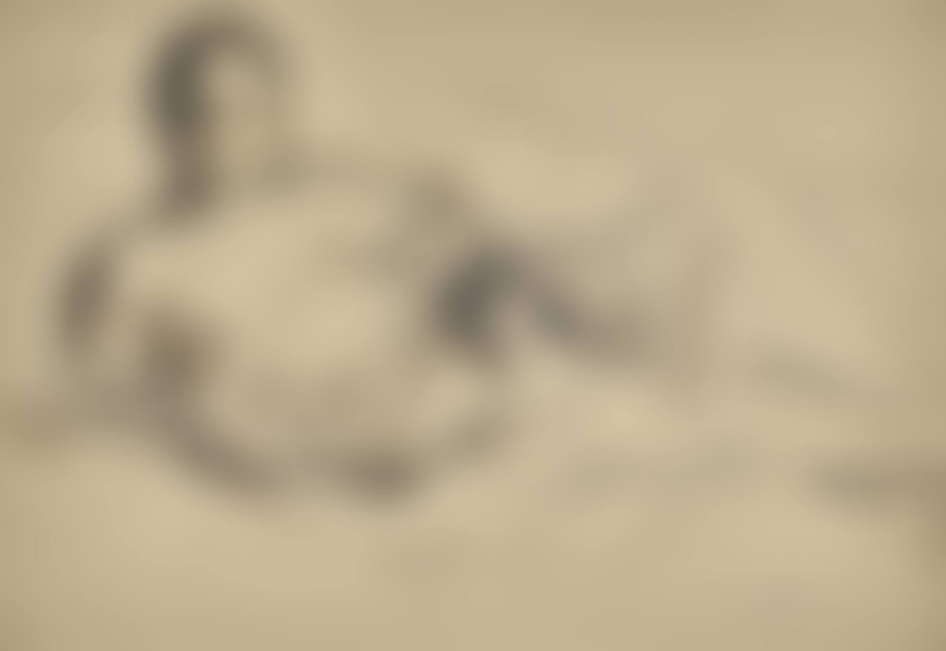Reclining figure (preview)