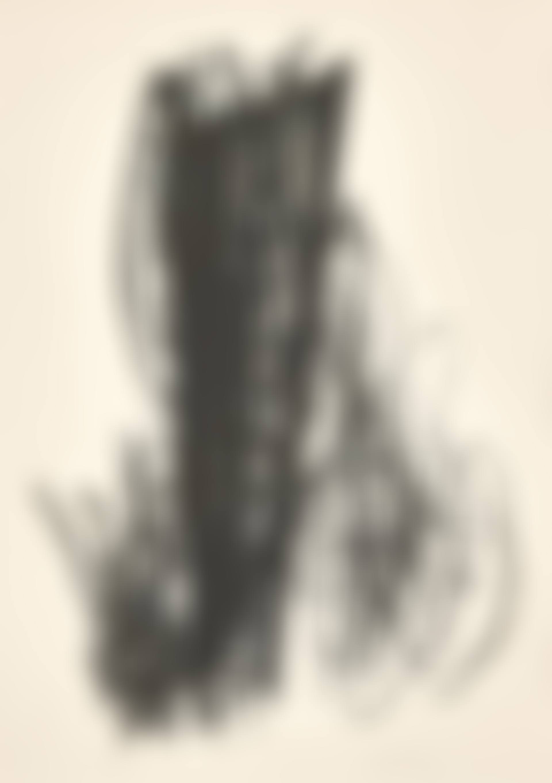 "L37" (preview)