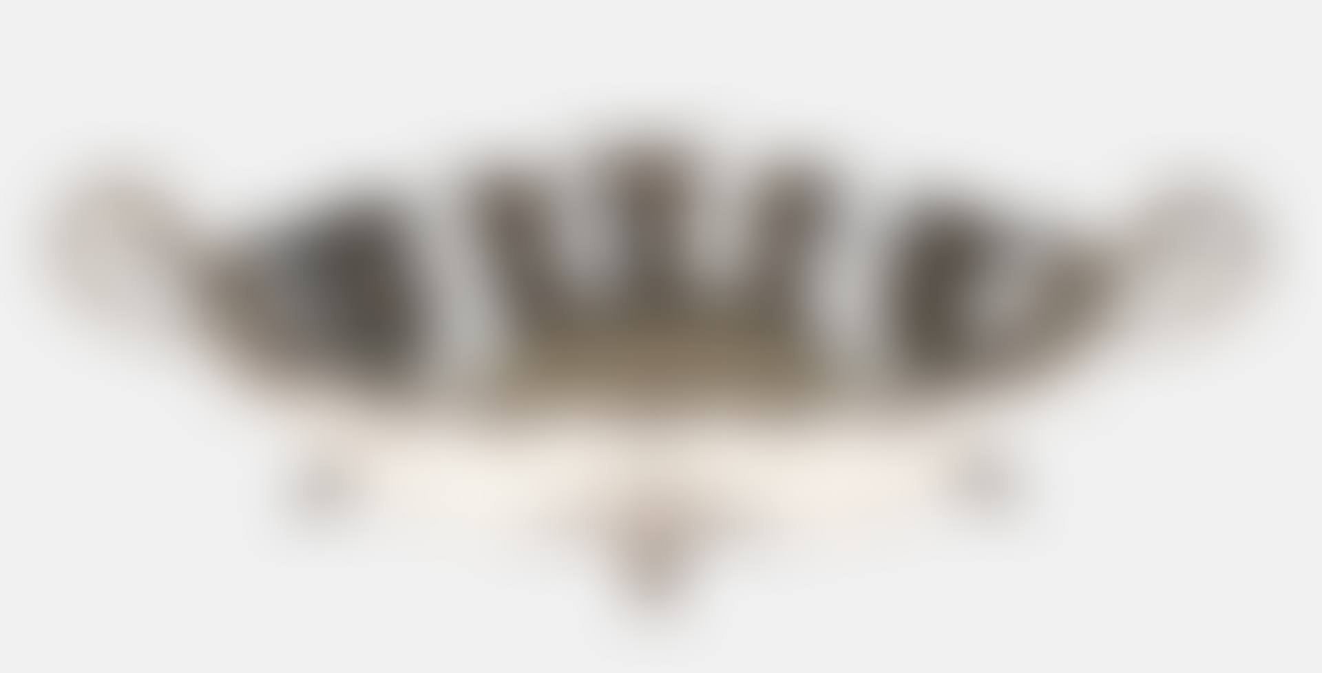 MAGNIFICENT BOWL (preview)
