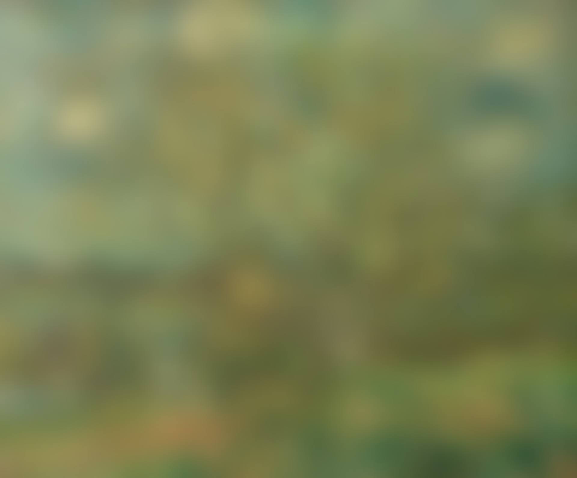 Landscape with tree (preview)