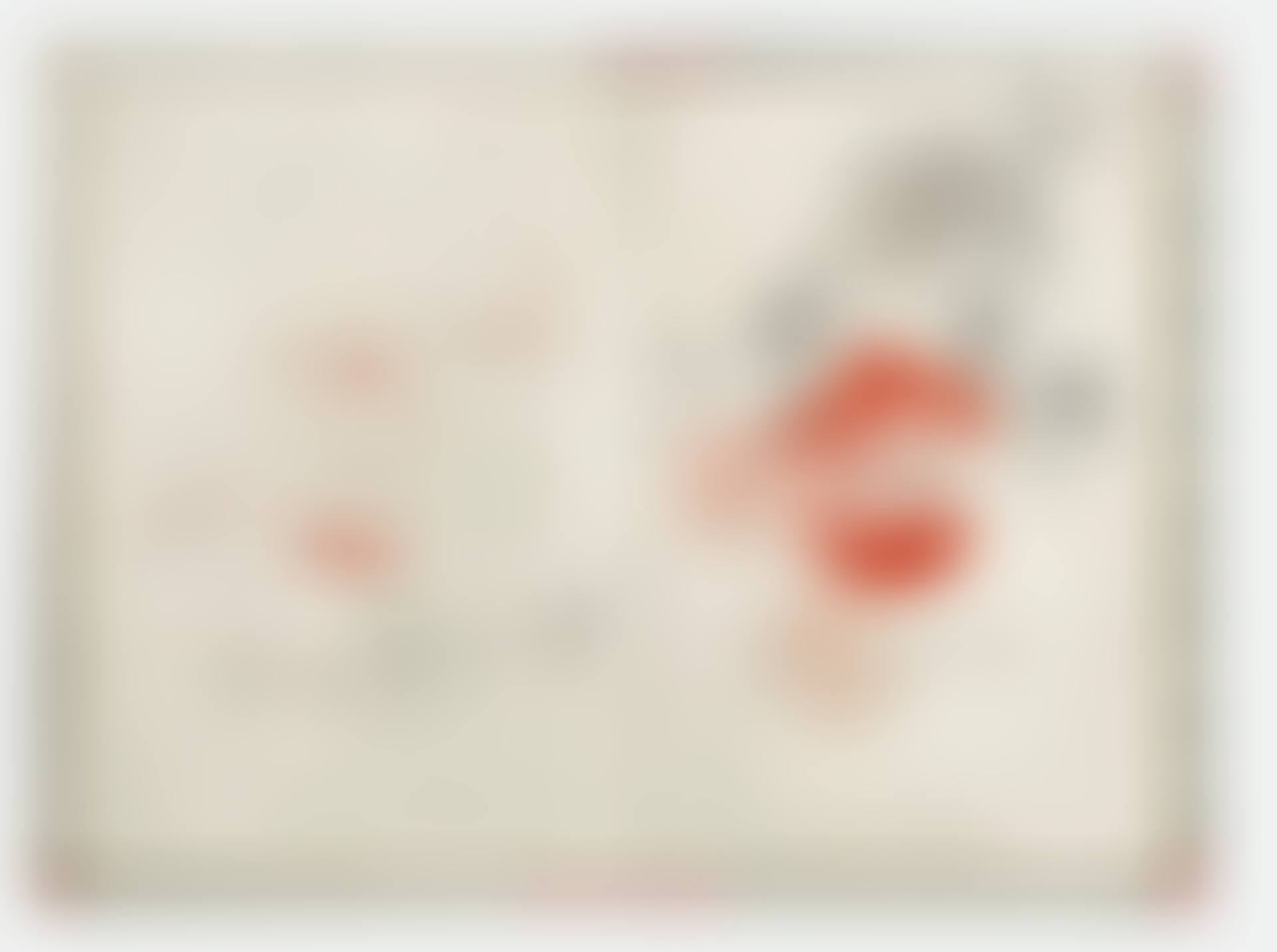 "Madam", birthday guest booklet of a Bernese hostess (preview)