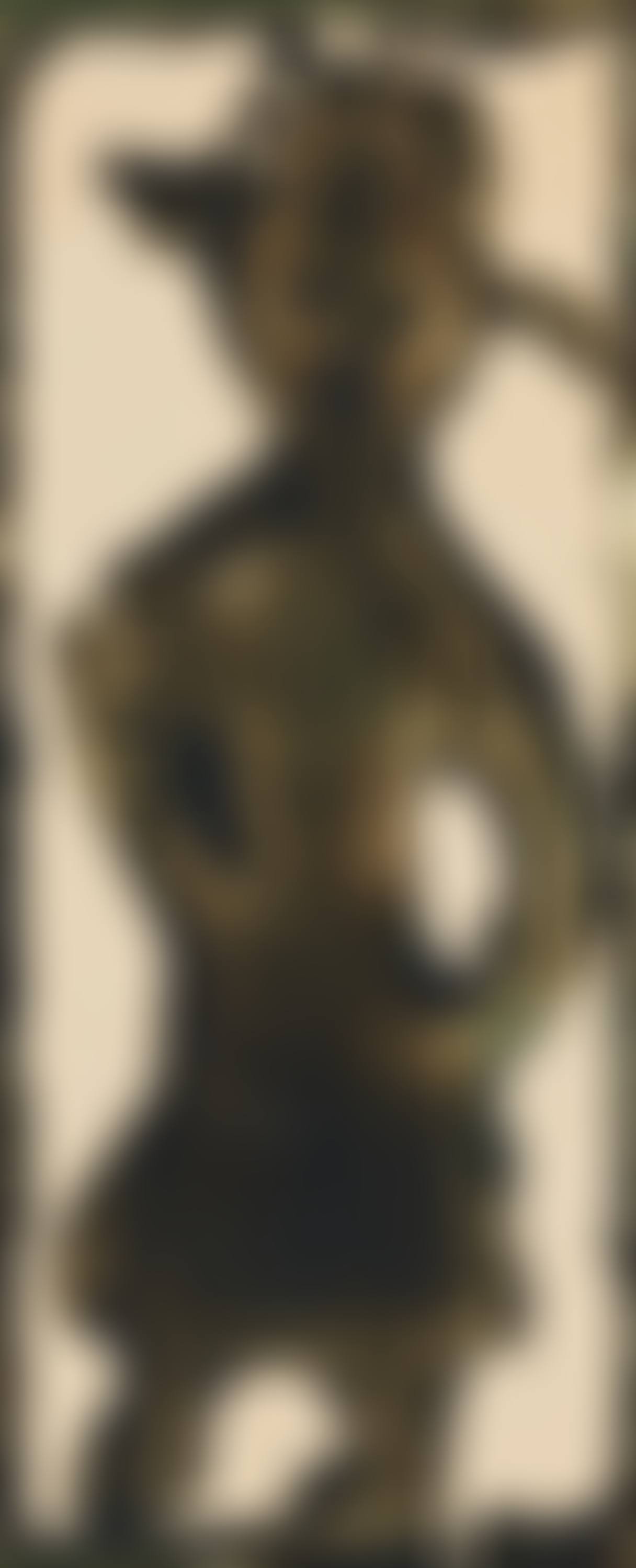 Männchen i. (preview)
