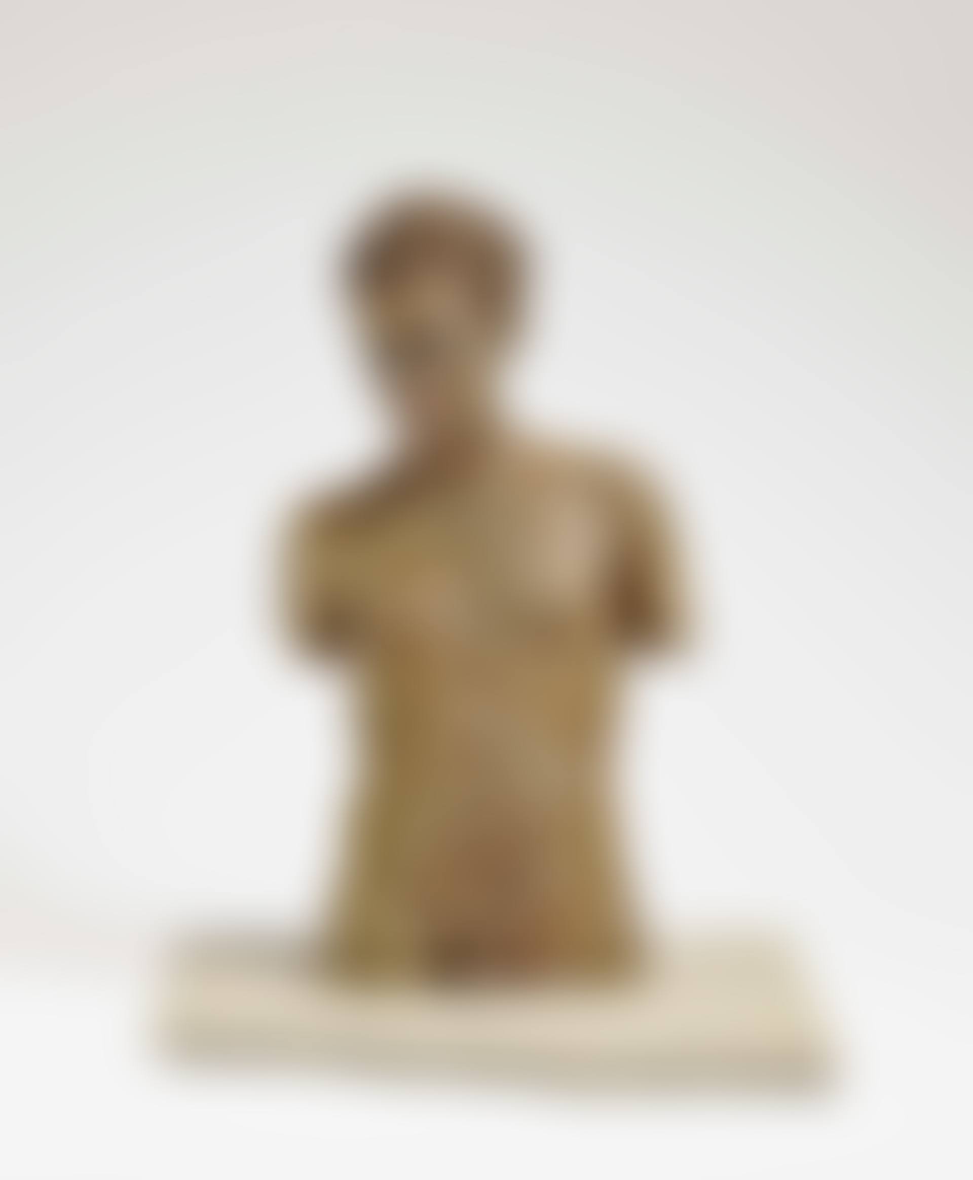 Male Torso (preview)