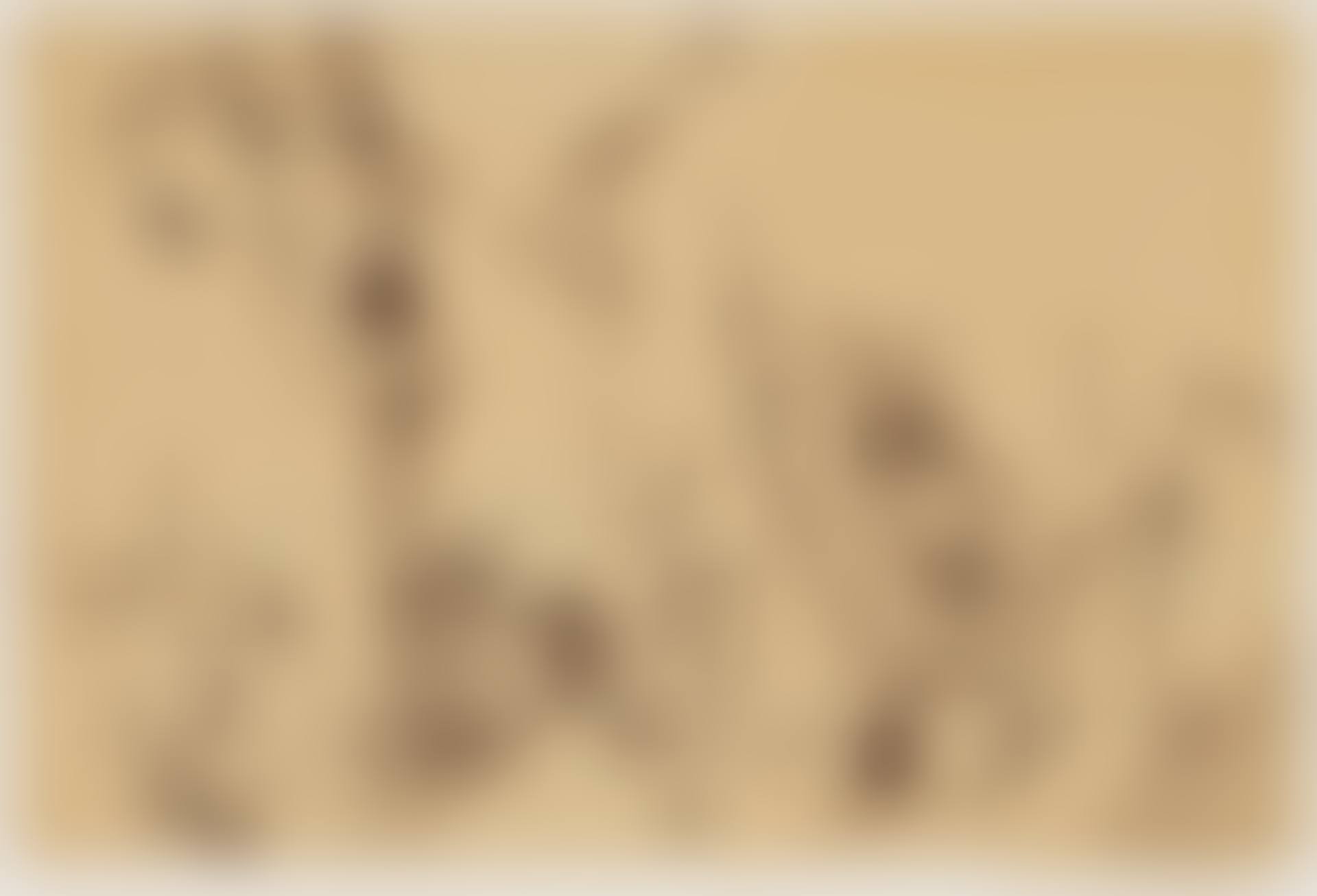 Svanshall - inverted, daily newspaper 2 (preview)