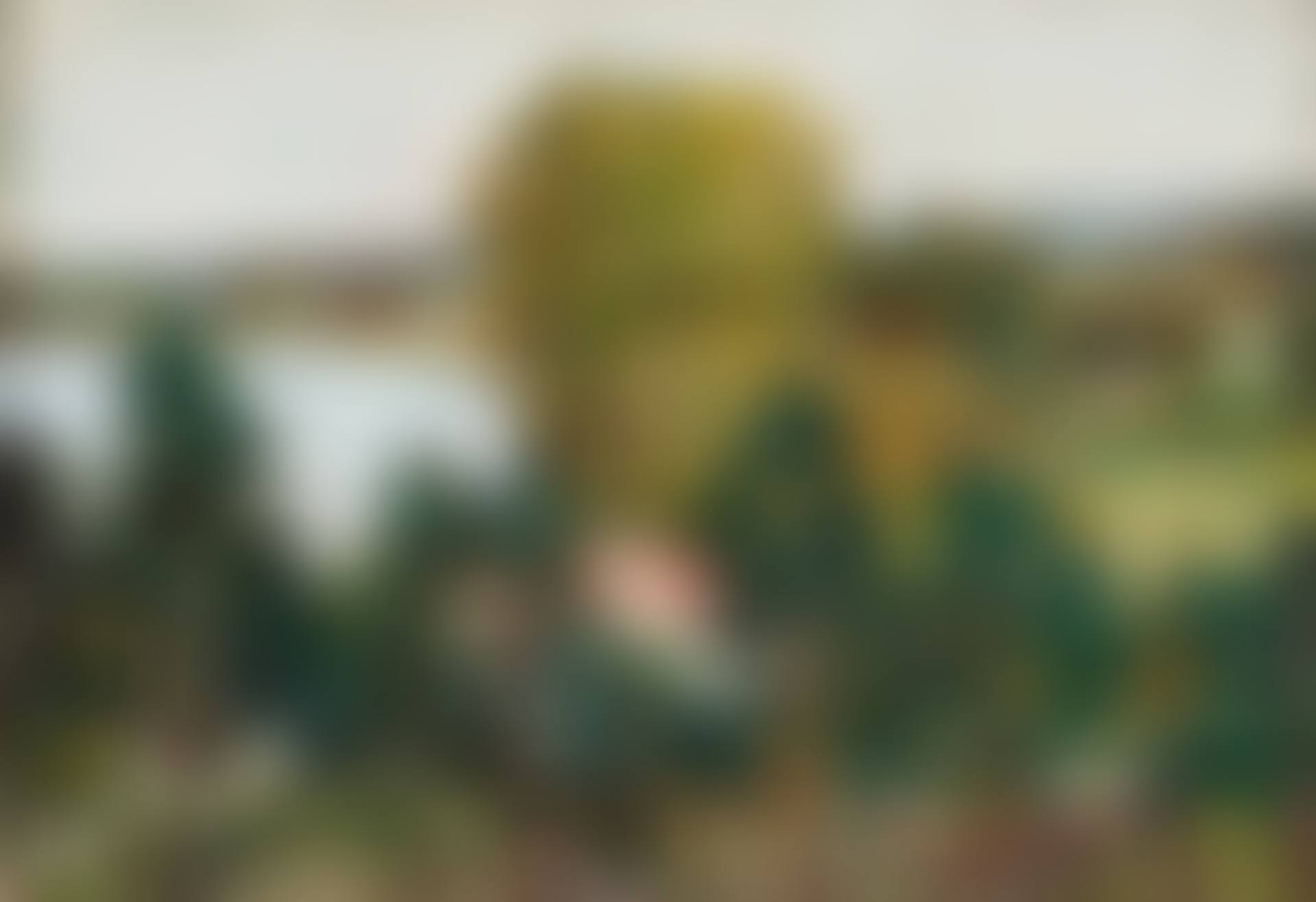 Lake of Schwerin (preview)