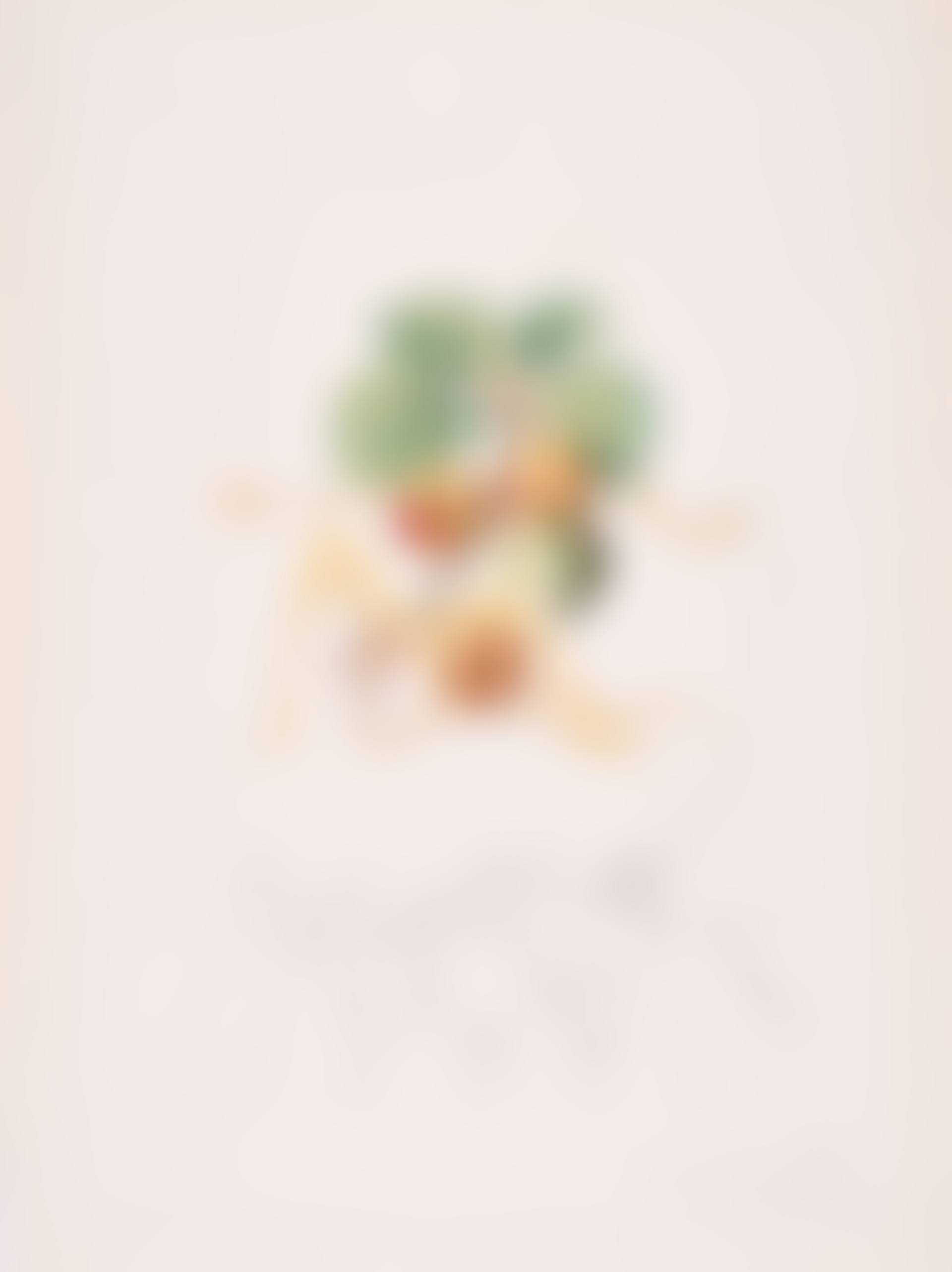 Abricot Chevalier (From: Flordali - Les Fruits). (preview)
