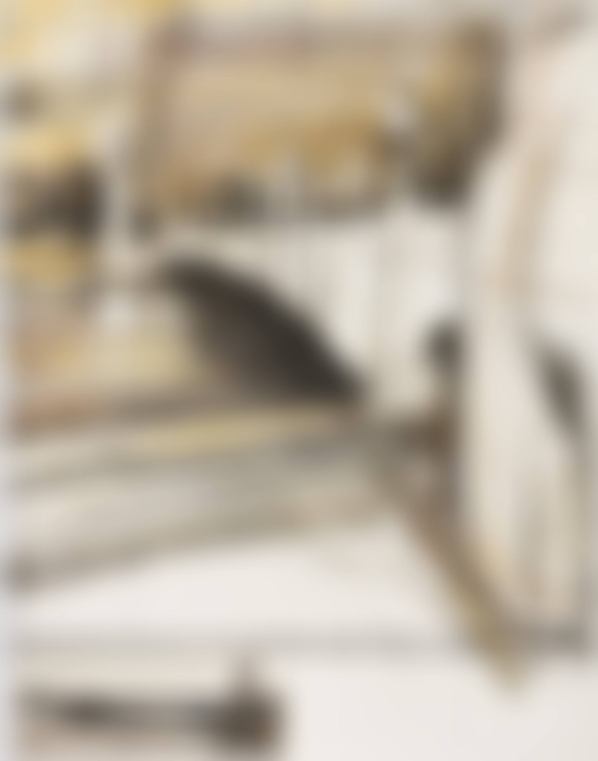 Wrapped Bridge, Project for Le Pont Alexandre III, Paris (preview)