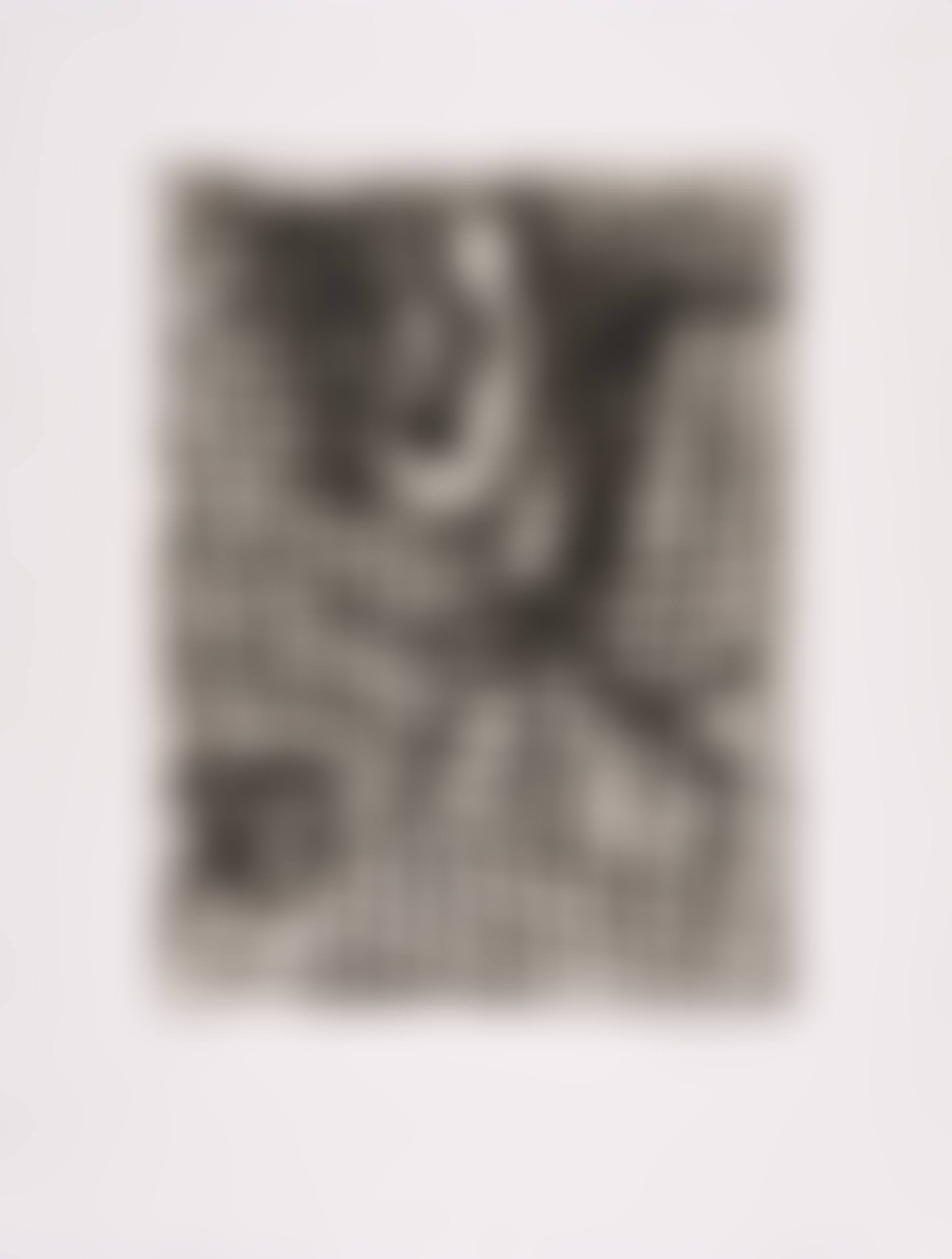 Baum und Haus (From: Edition 10 Etchings 1987/88) (preview)