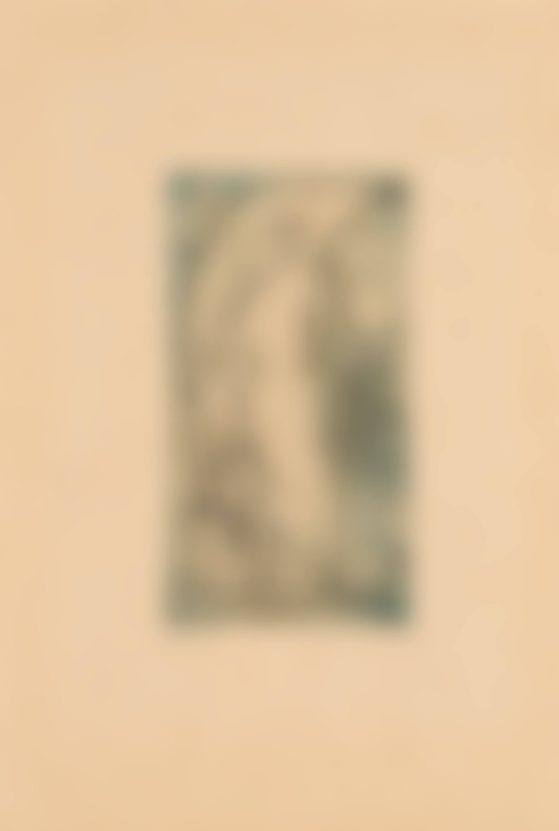 Oiseau vierge (preview)