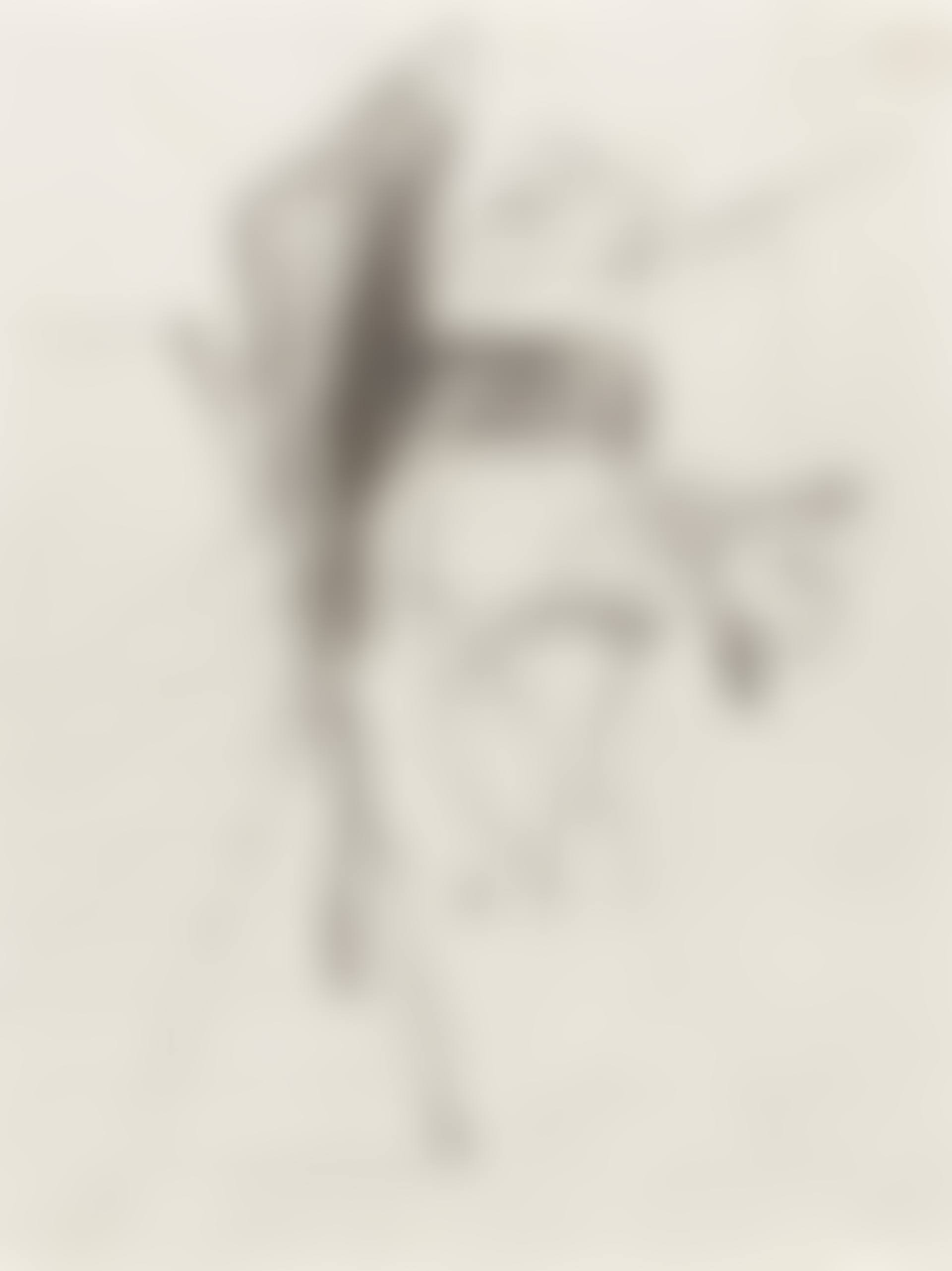 Untitled. (preview)