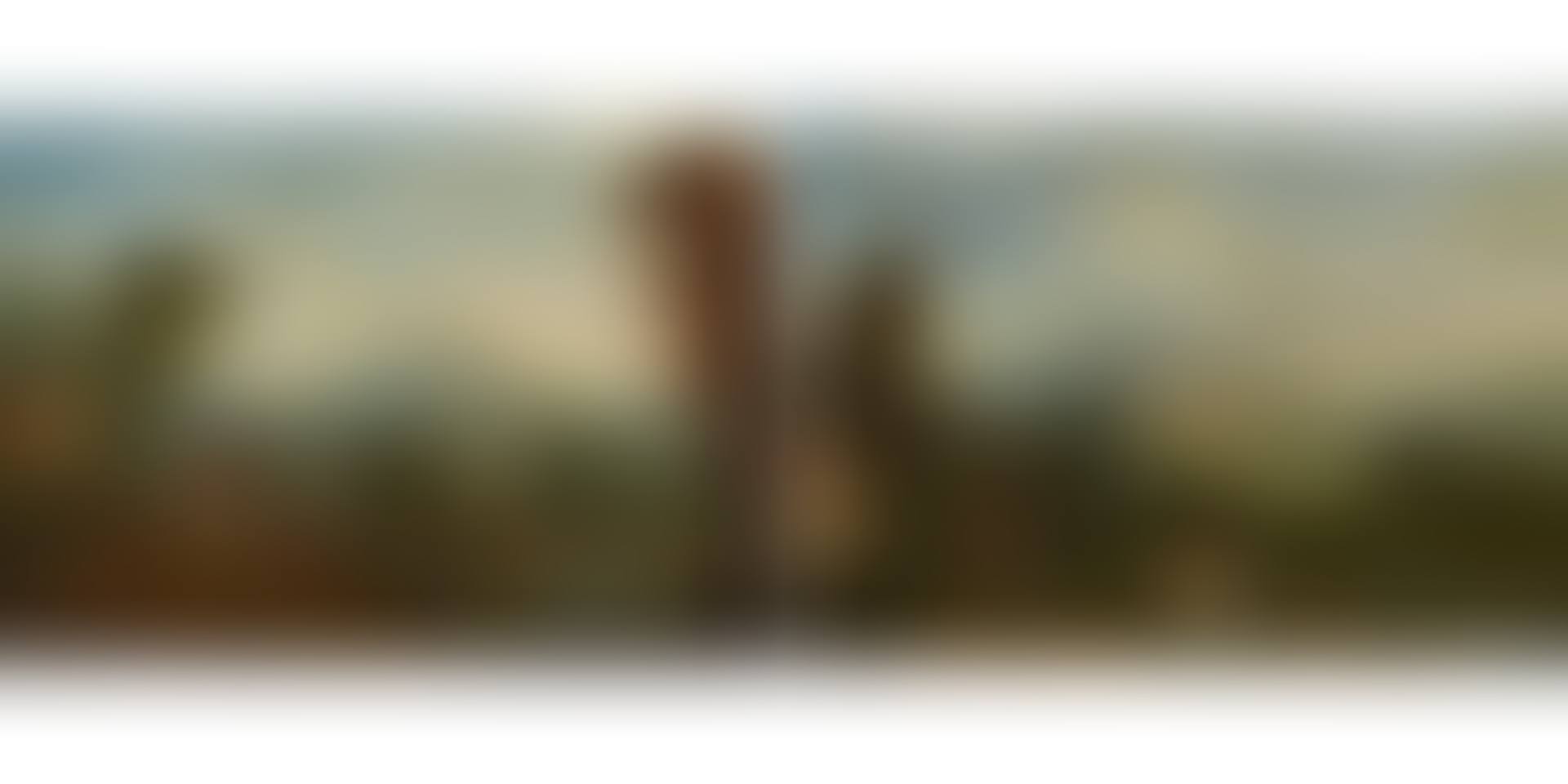 Vast landscapes with rivers and scenery. counterparts (preview)