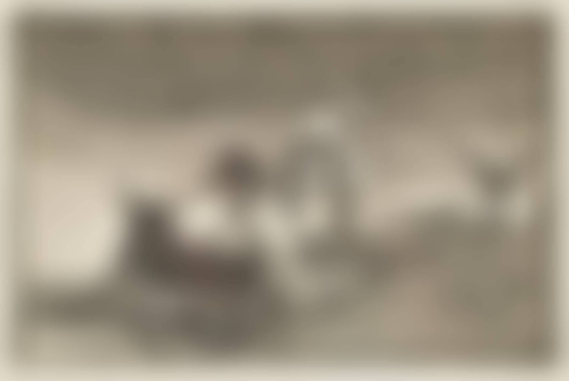 "They weather another lockdown" (preview)