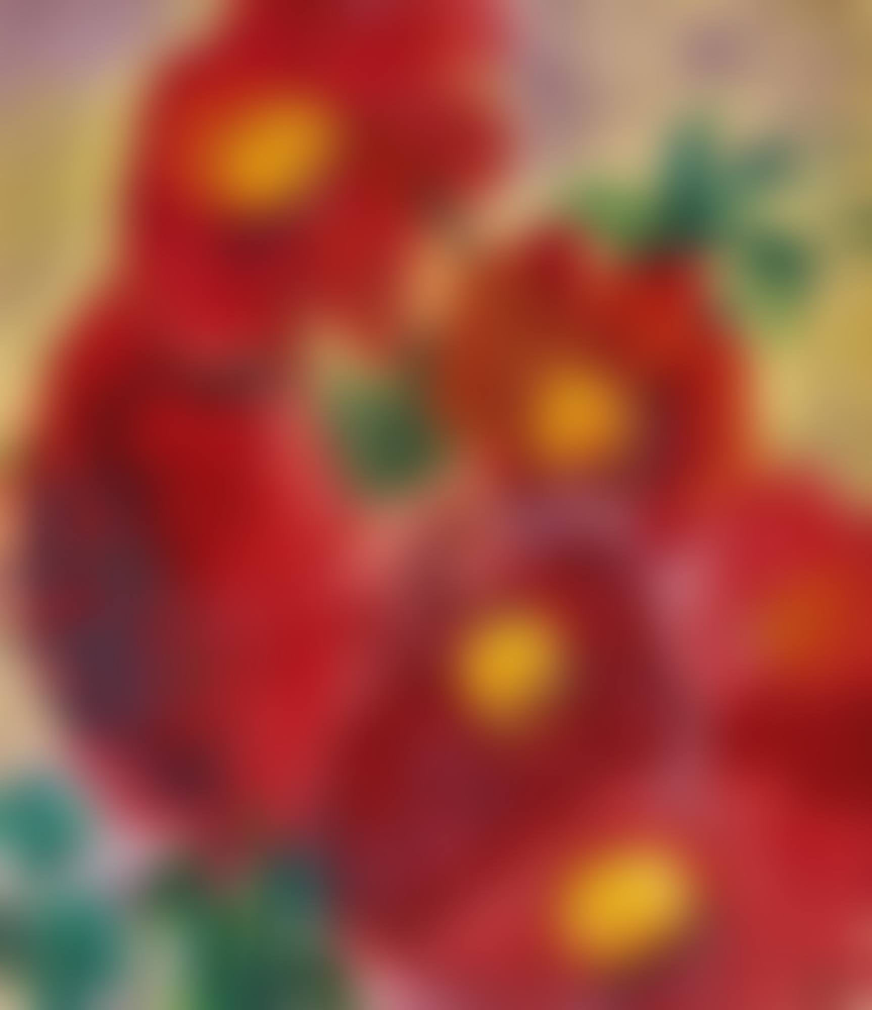 "Red flowers" (preview)