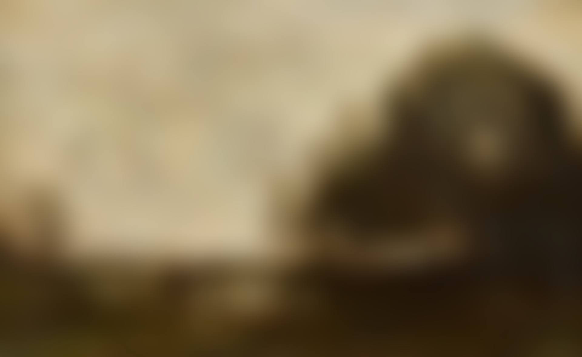 Cows at the edge of the pond (preview)