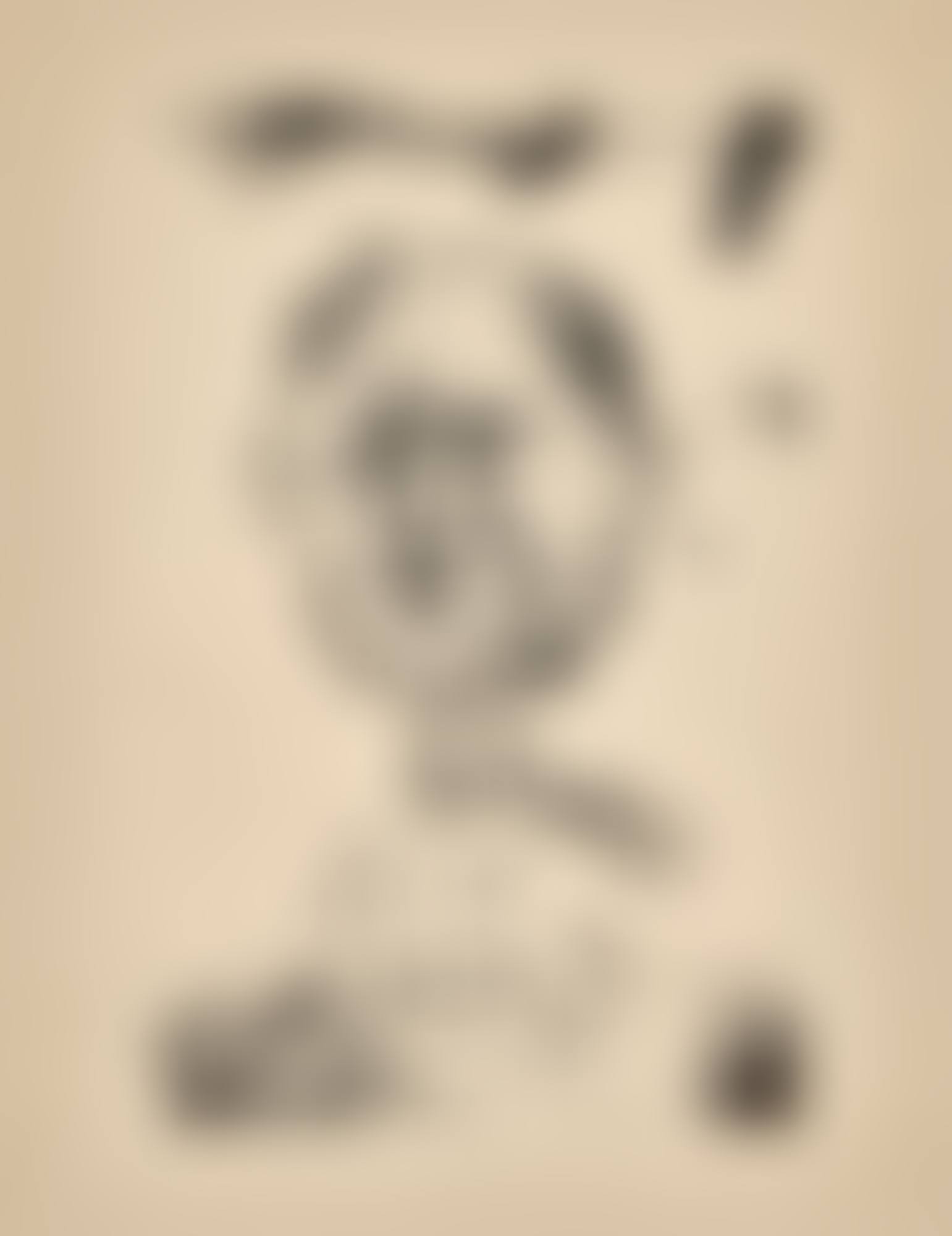 "Kopf" (preview)