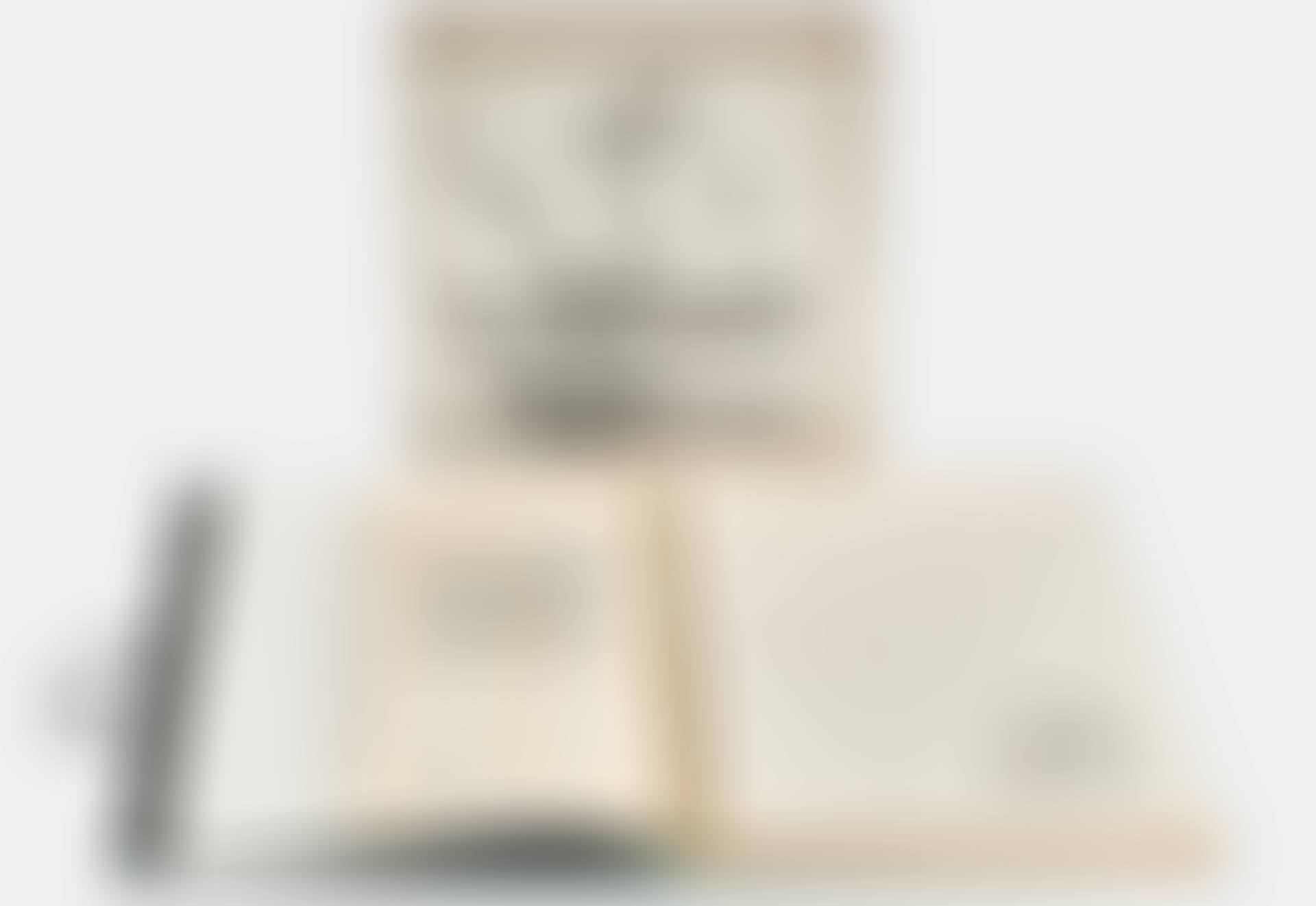 "Suite of drawings" (preview)