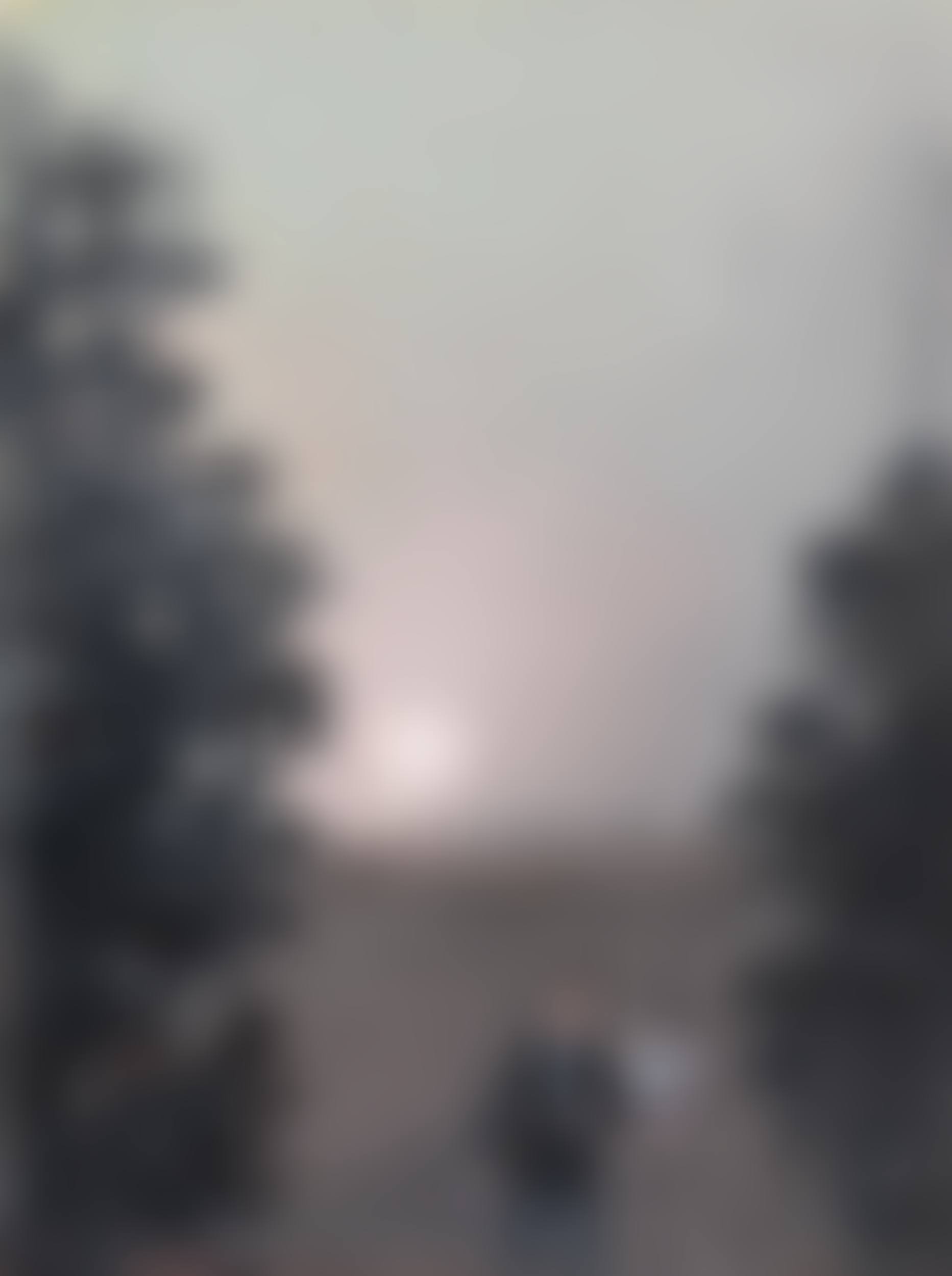 A Painter (preview)