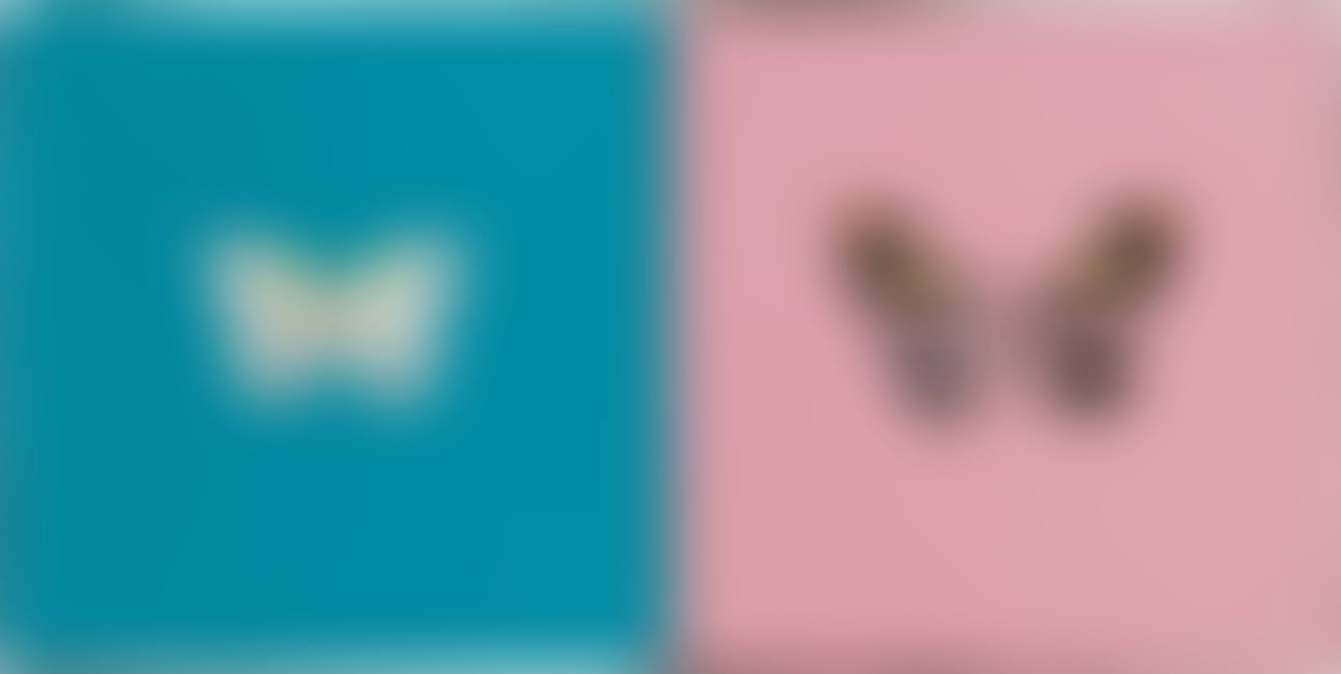 Love, Love (preview)