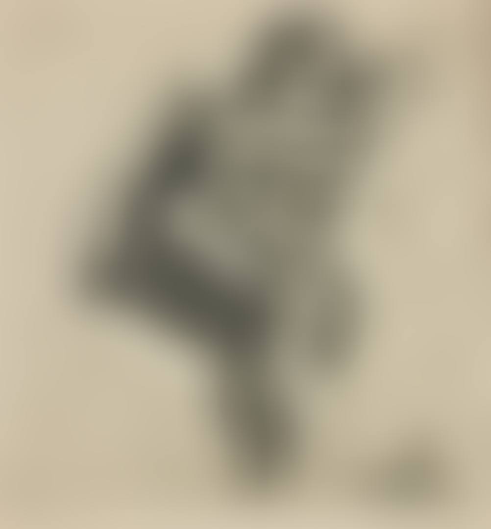 "Reclining nude". (preview)