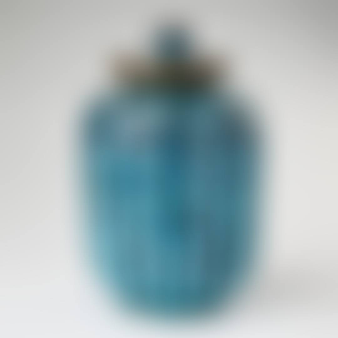 Urn with cover (preview)