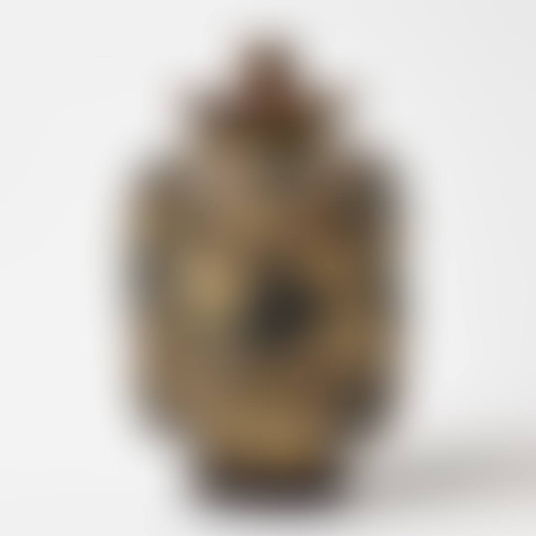 Urn with lid (preview)