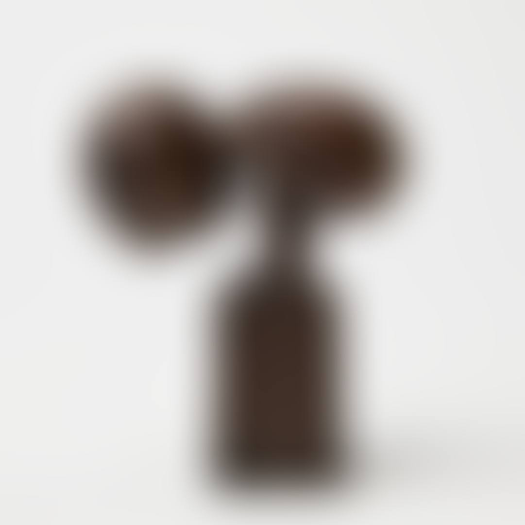 "The Ant". (preview)