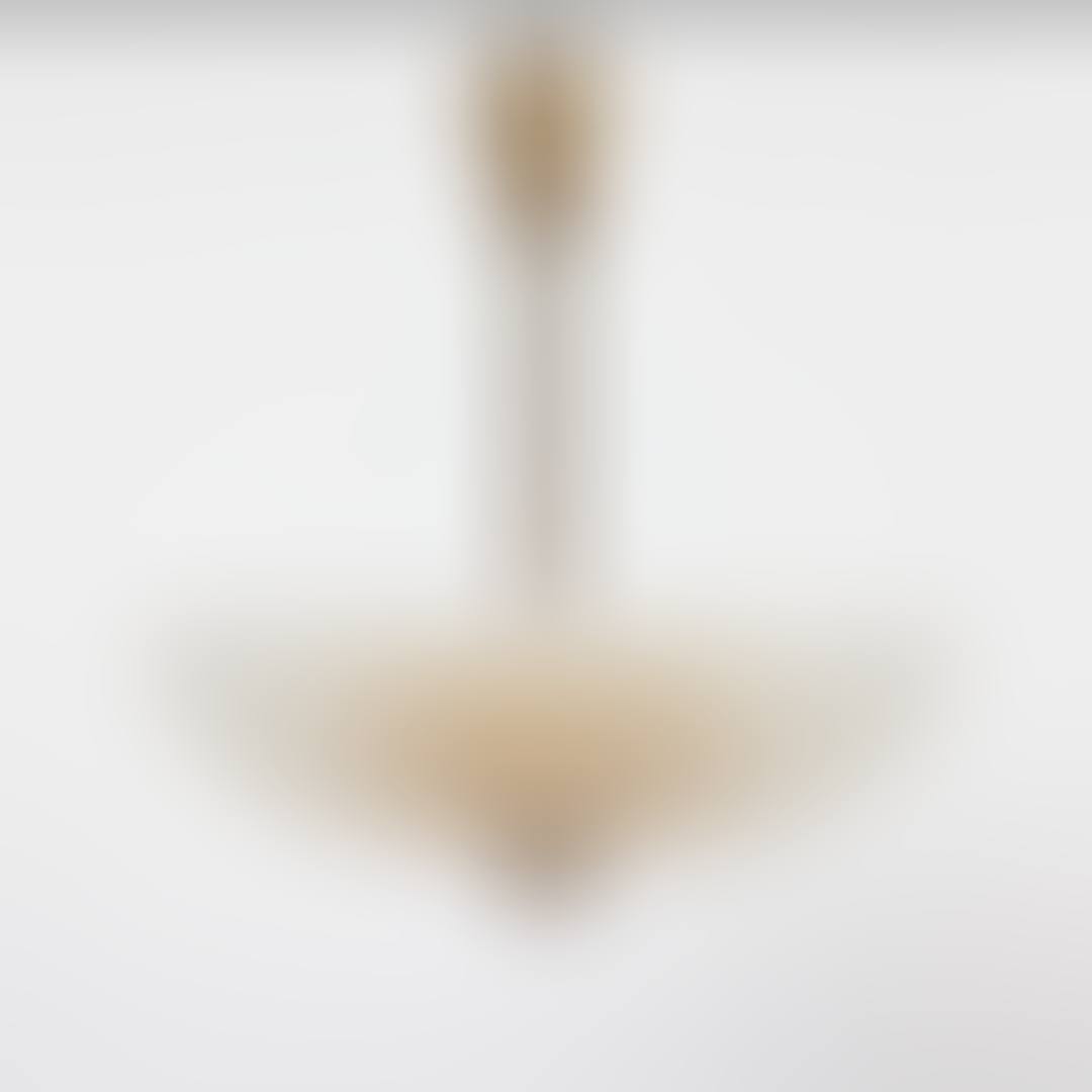 ceiling fixture (preview)