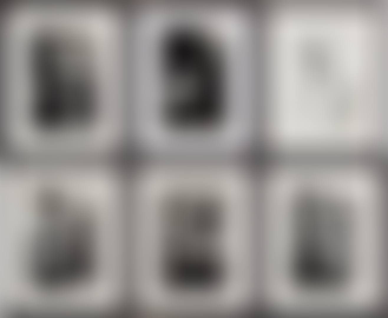 Special Collection, 24 Photo Lithos (preview)
