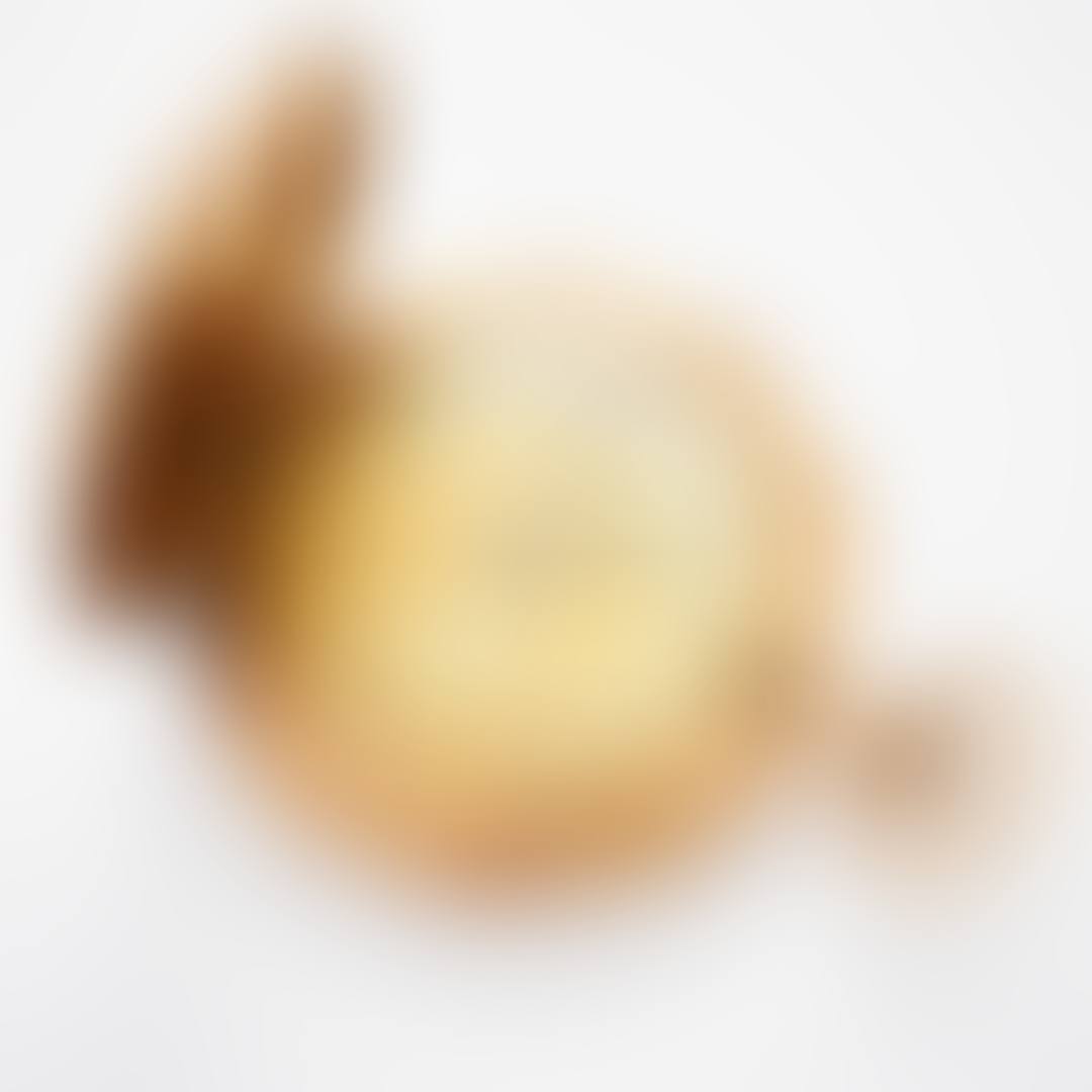 POCKET WATCH (preview)