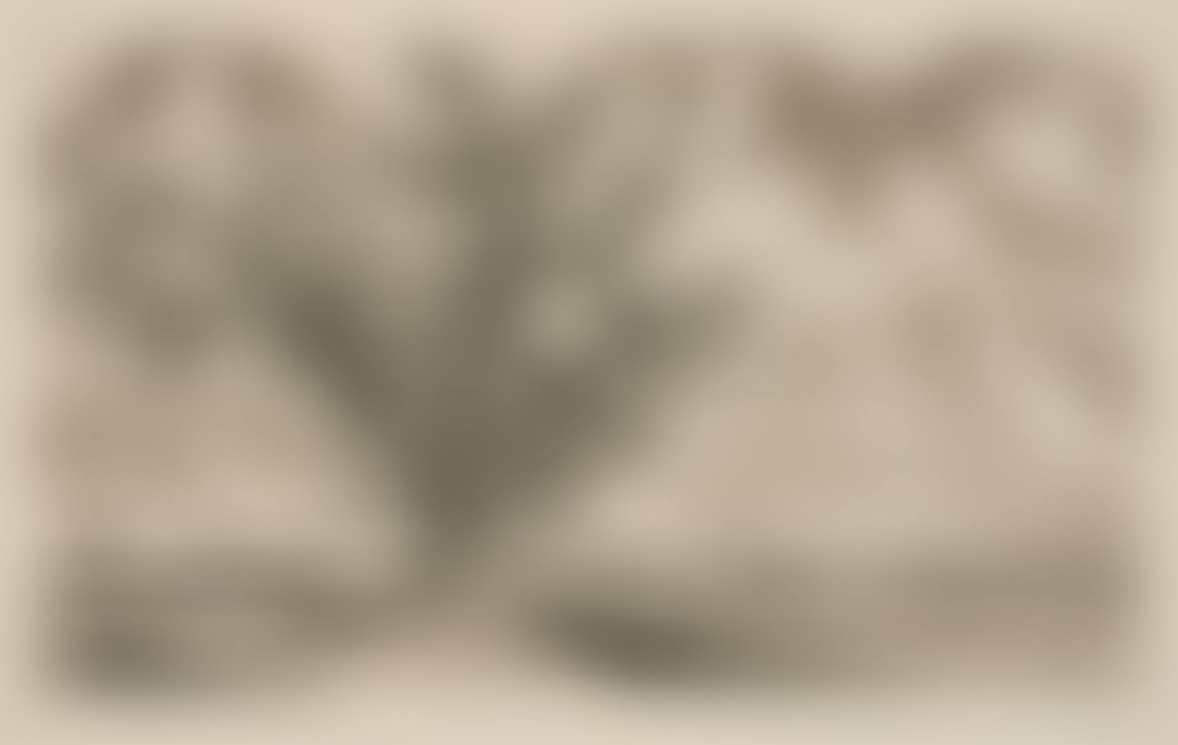 “Landscape near Viljandi” (Viljandi mastik). (preview)